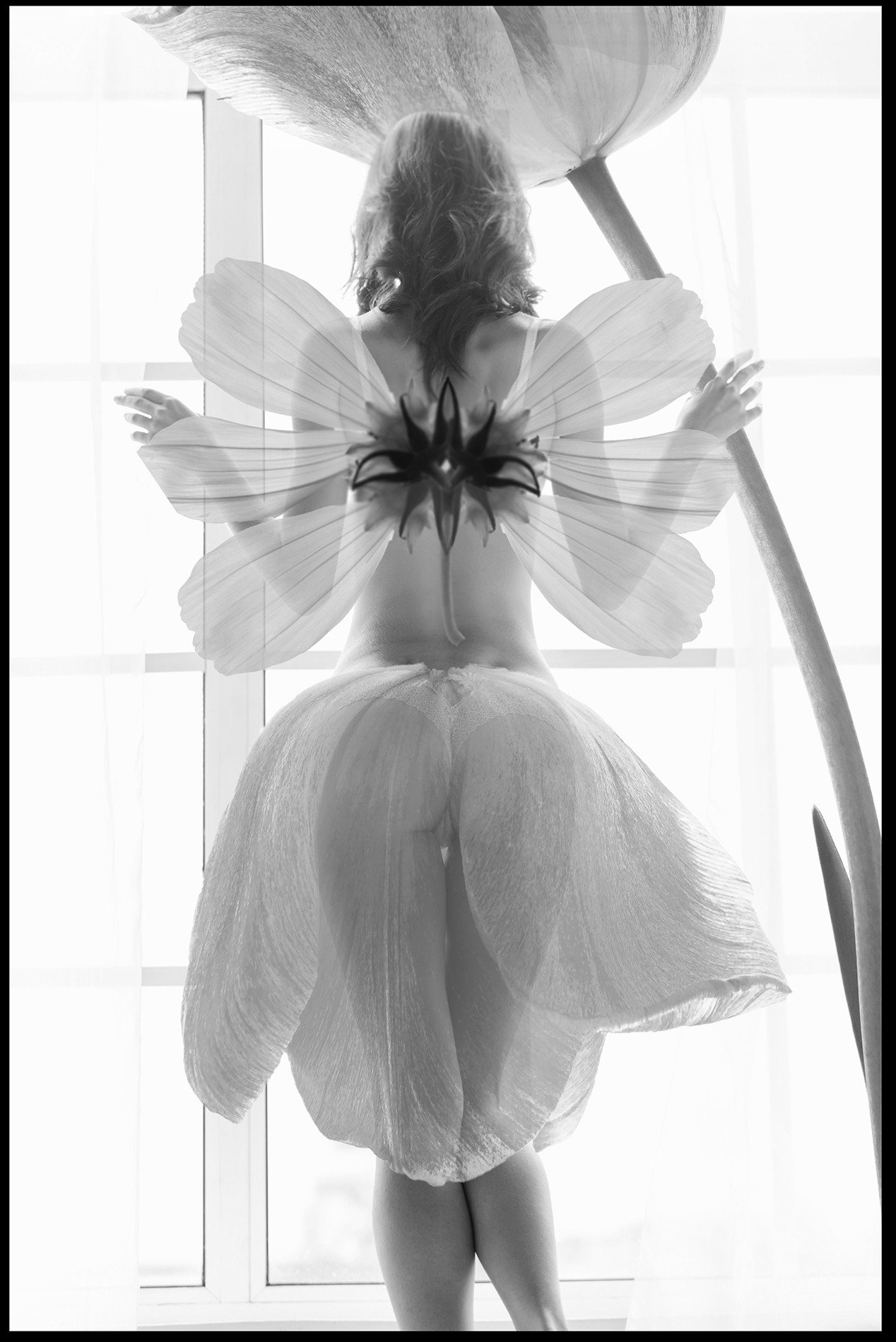 People 1268x1899 fairies wings flowers monochrome see-through clothing women model rear view ass