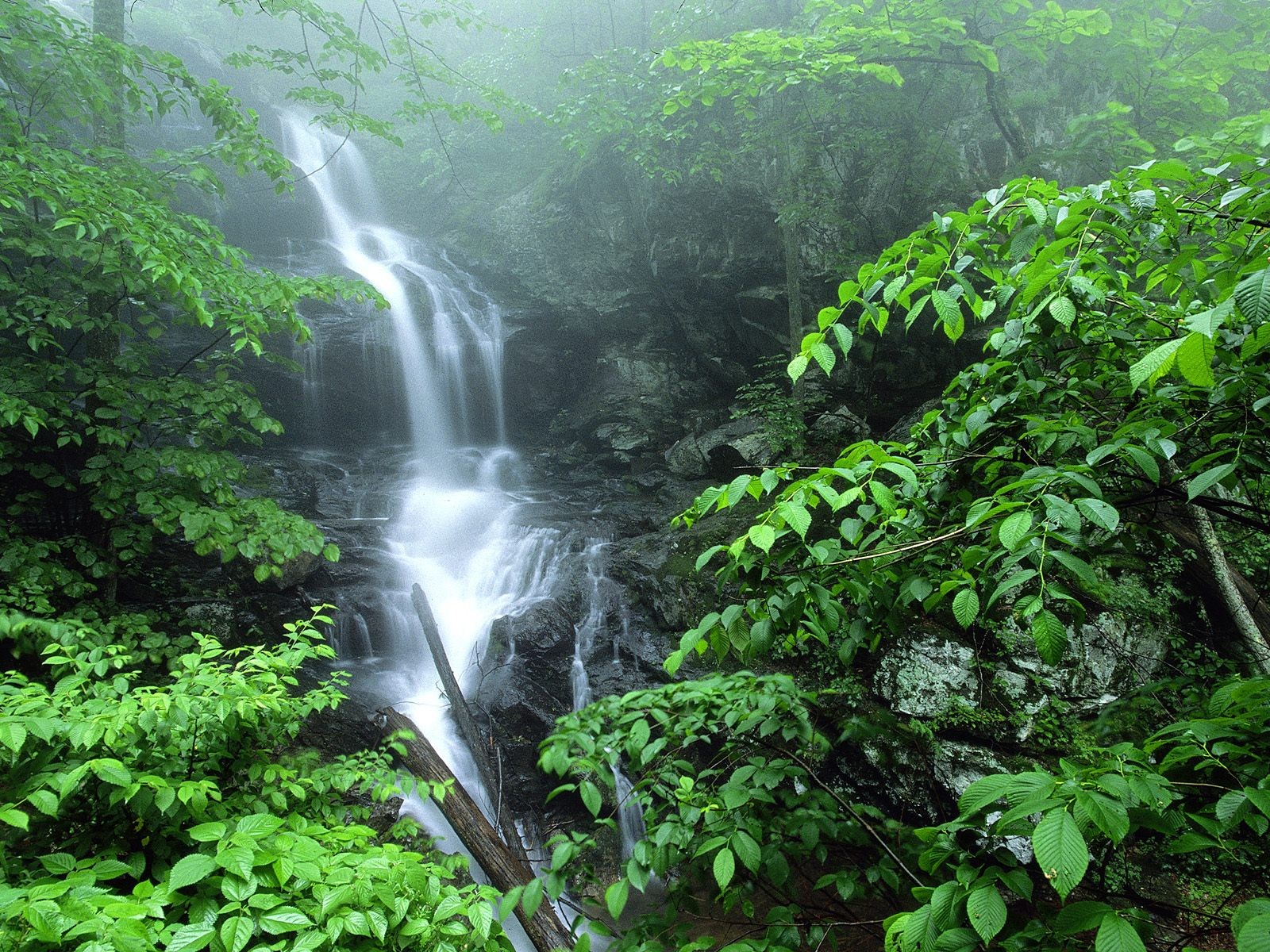 General 1600x1200 forest creeks waterfall nature landscape rocks