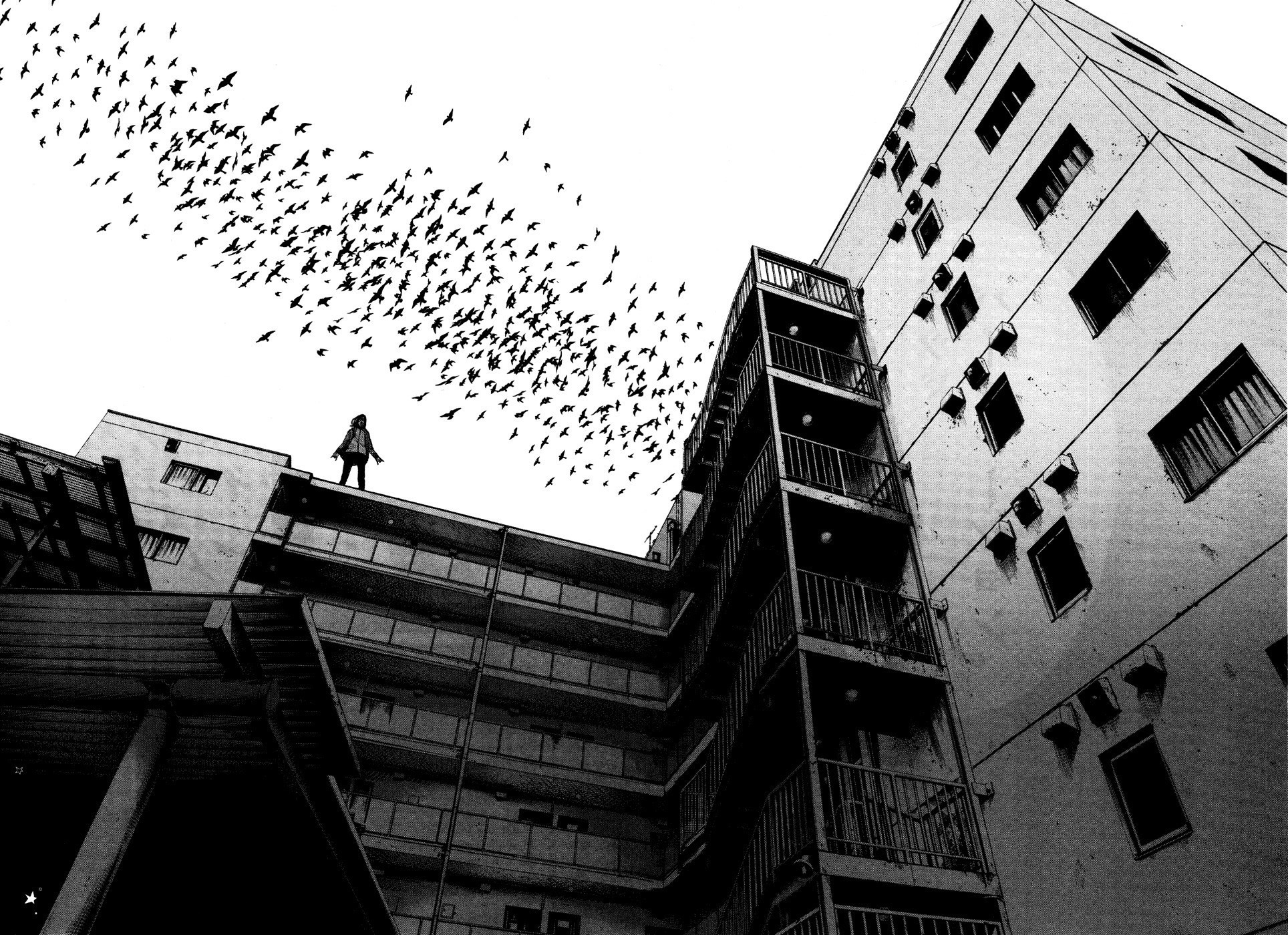 General 1928x1400 building birds monochrome animals rooftops sky low-angle standing