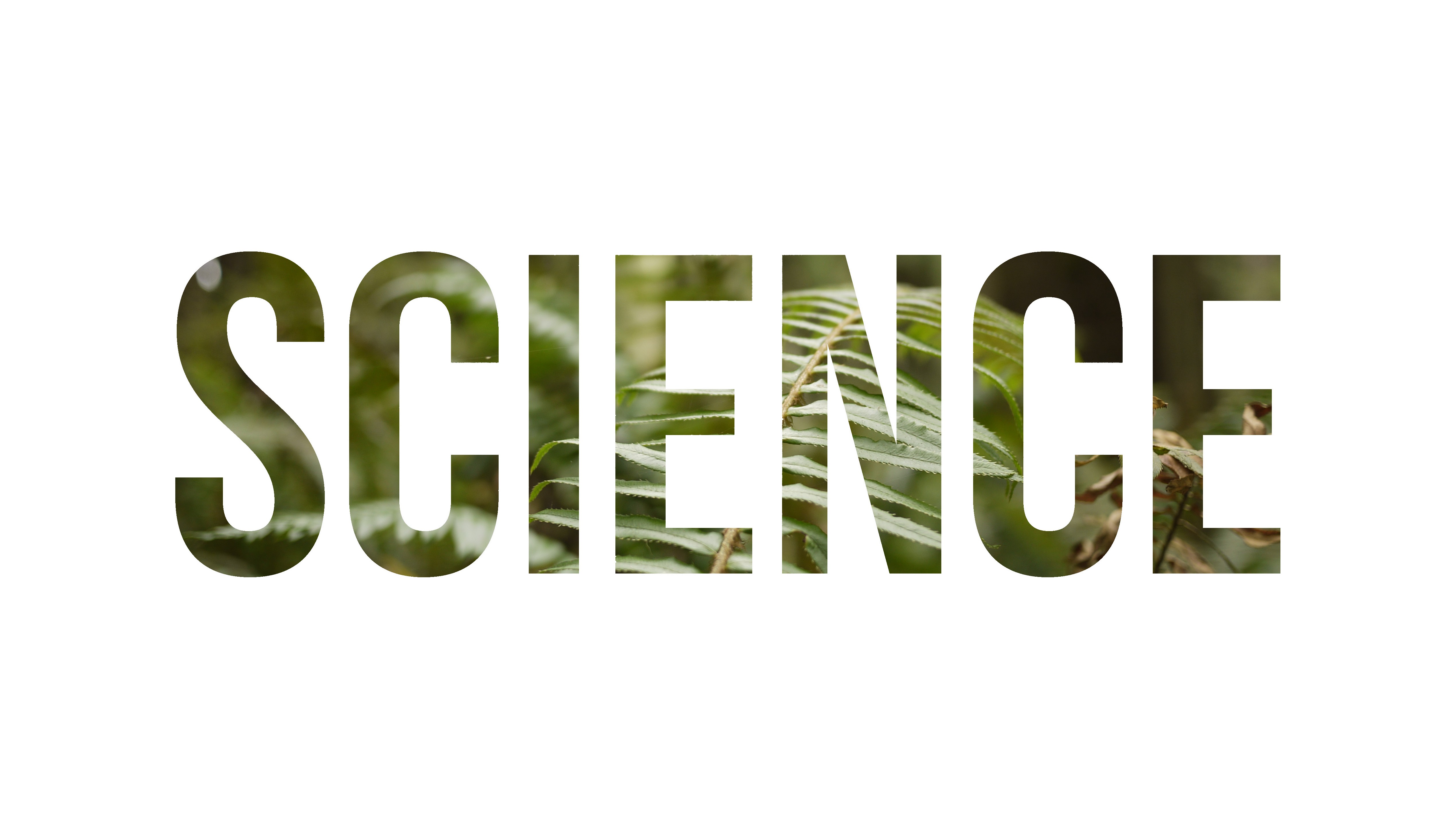 General 5075x2863 science plants nature typography white background simple background