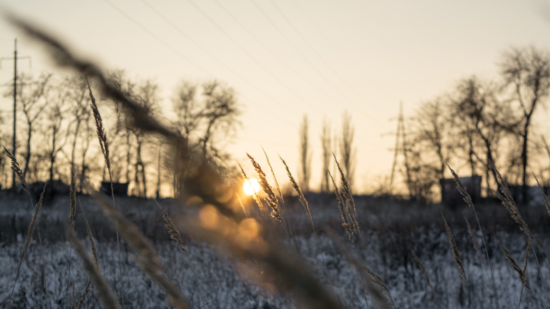 General 1920x1080 field depth of field sunset cold ice sunlight outdoors winter snow