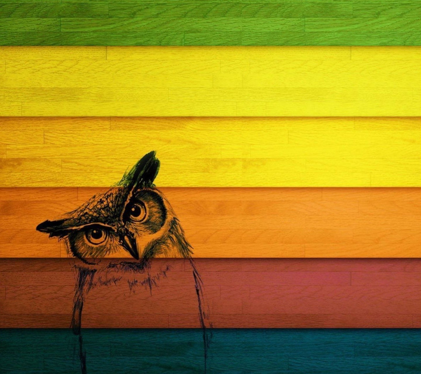 General 1440x1280 texture animals owl artwork colorful birds