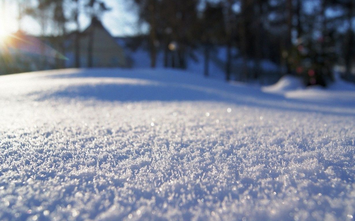 General 1229x768 depth of field snow winter outdoors