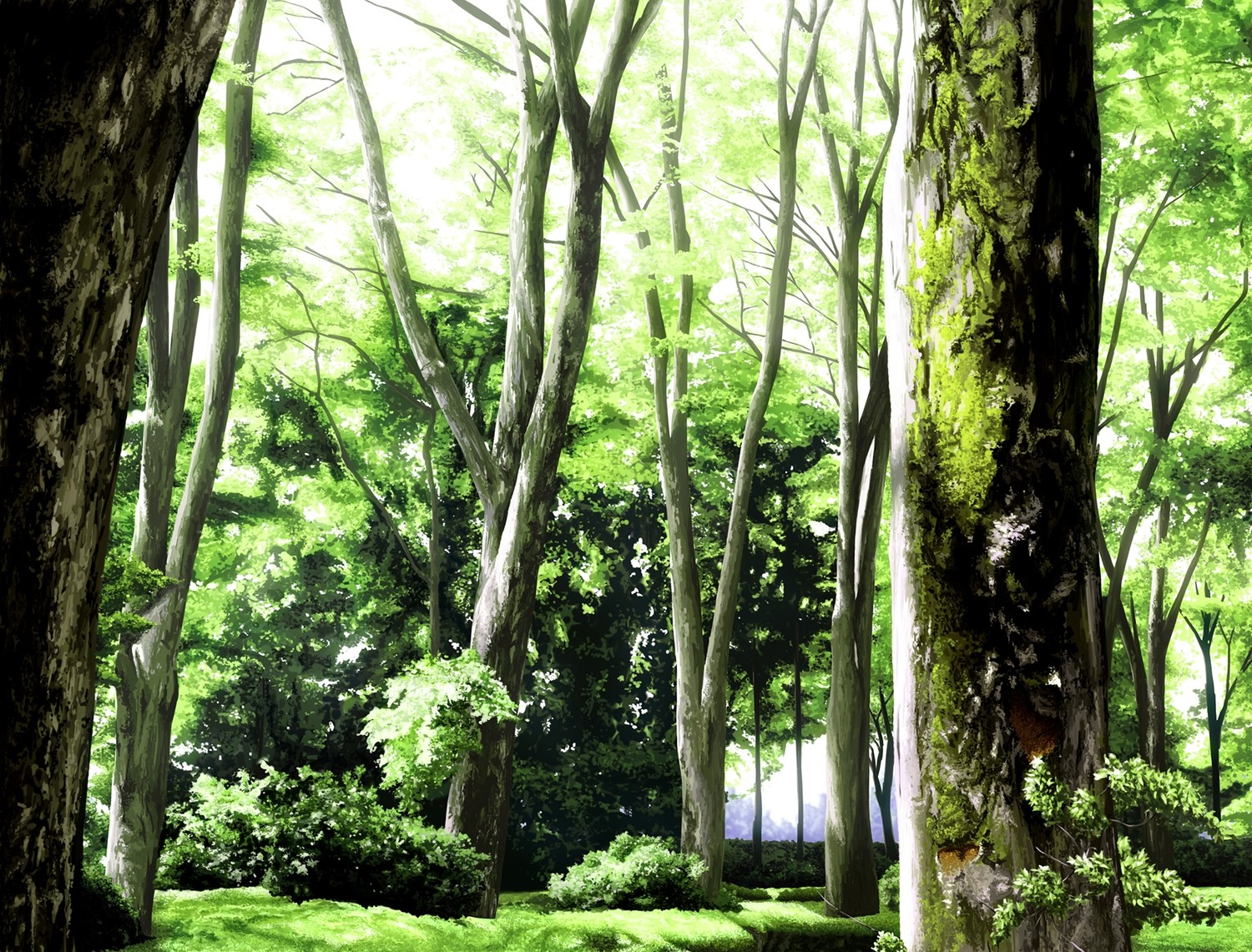 Anime 1500x1141 anime scenery forest sunlight trees