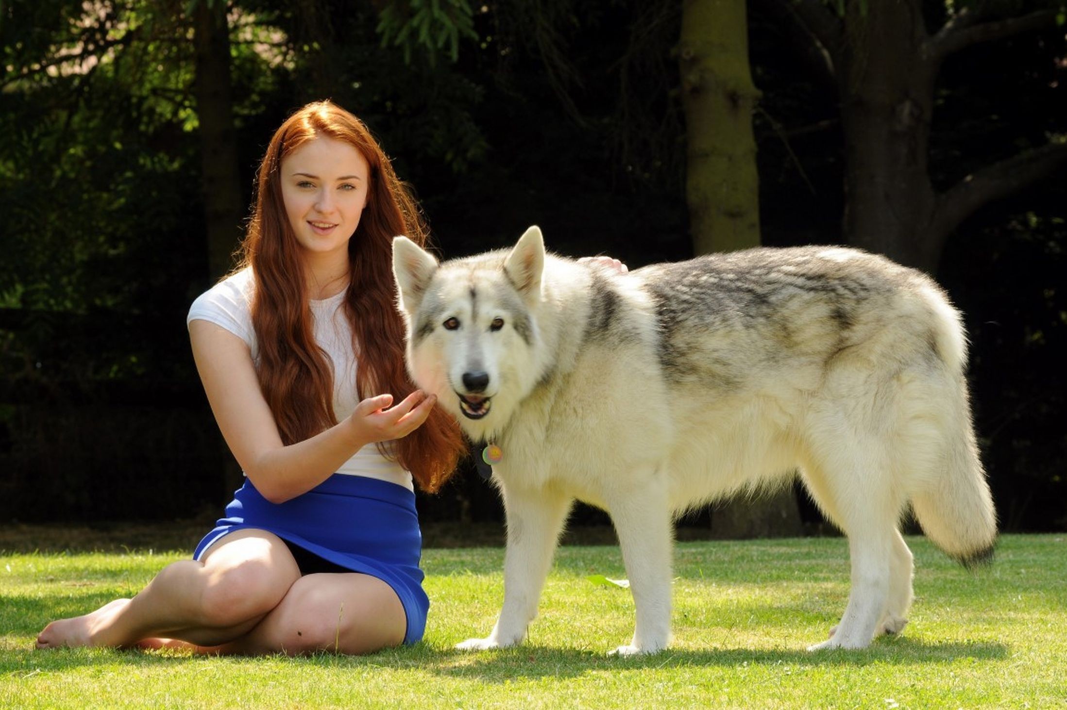 People 2197x1463 Sophie Turner actress women redhead barefoot skirt women outdoors dog animals women with dogs blue skirt white tops long hair