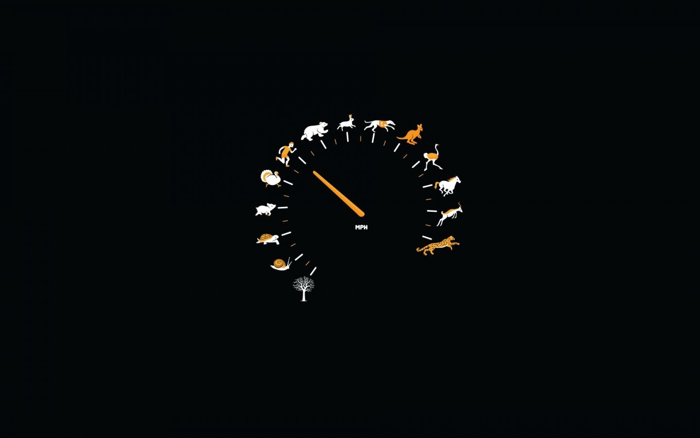 General 1440x900 speedometer animals artwork humor simple background black background