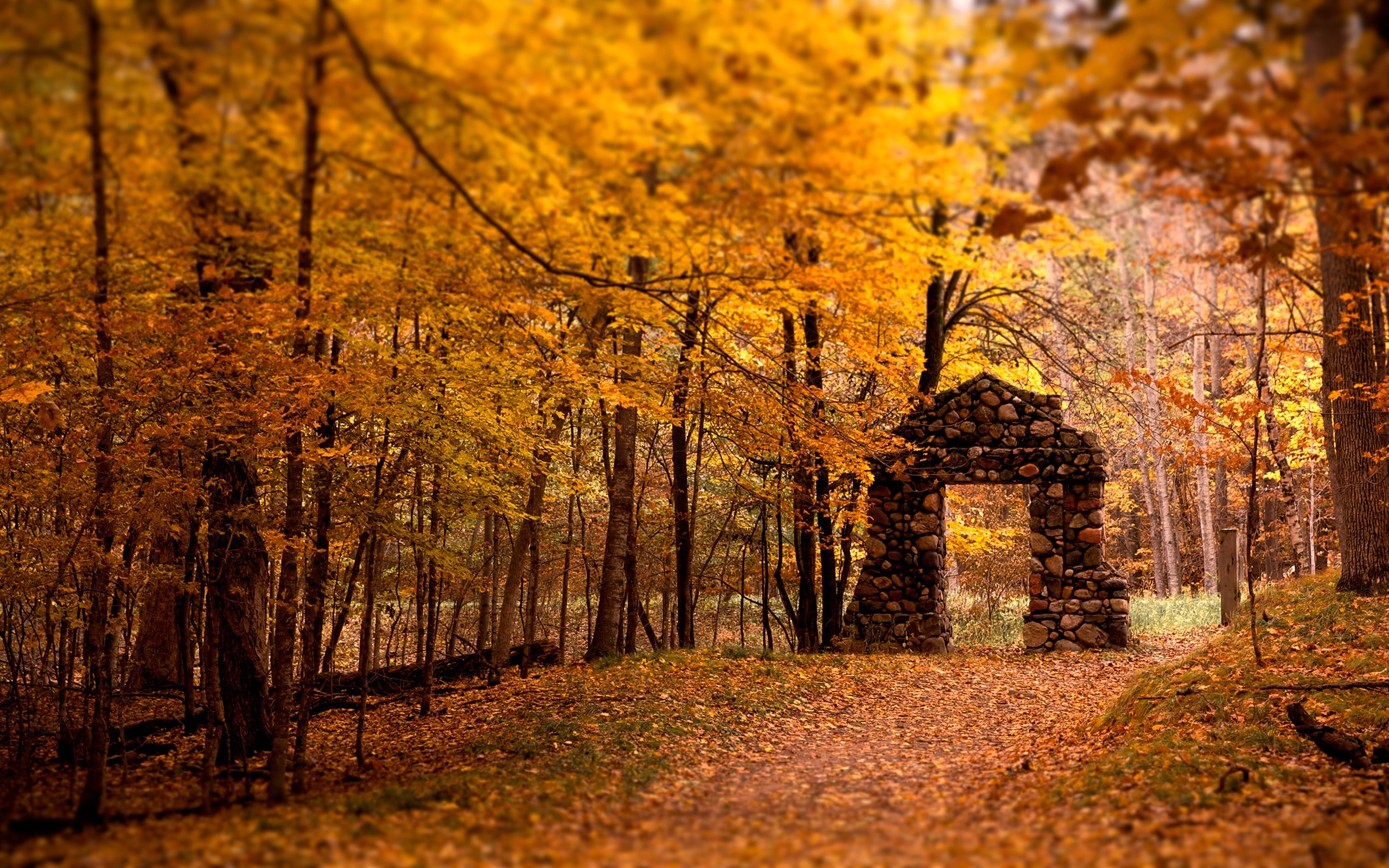 General 2560x1600 nature architecture trees forest old building ruins fall orange
