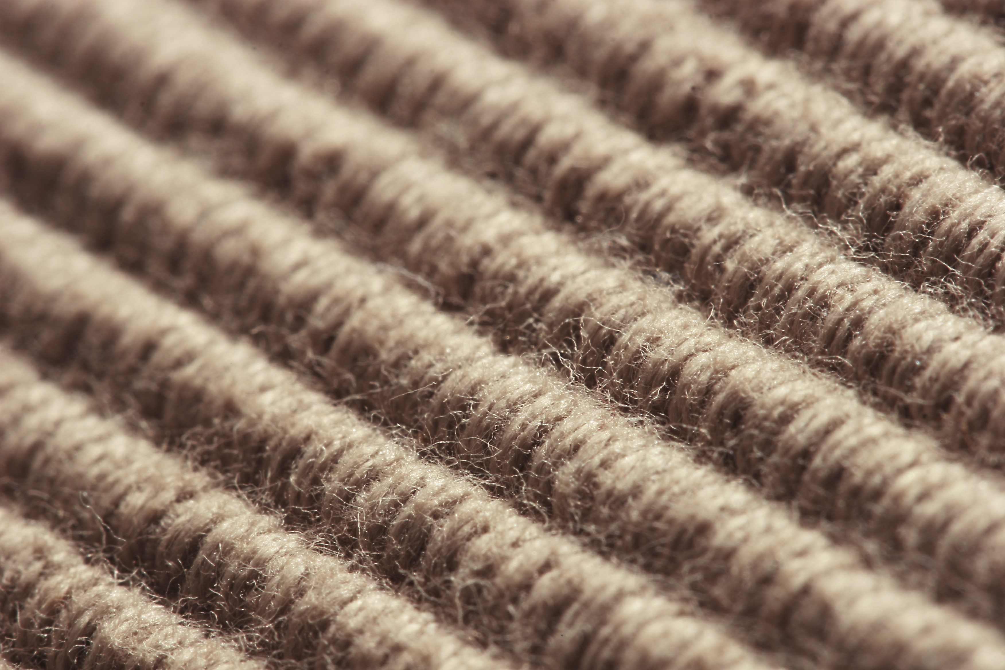 General 3504x2336 abstract depth of field macro carpet beige