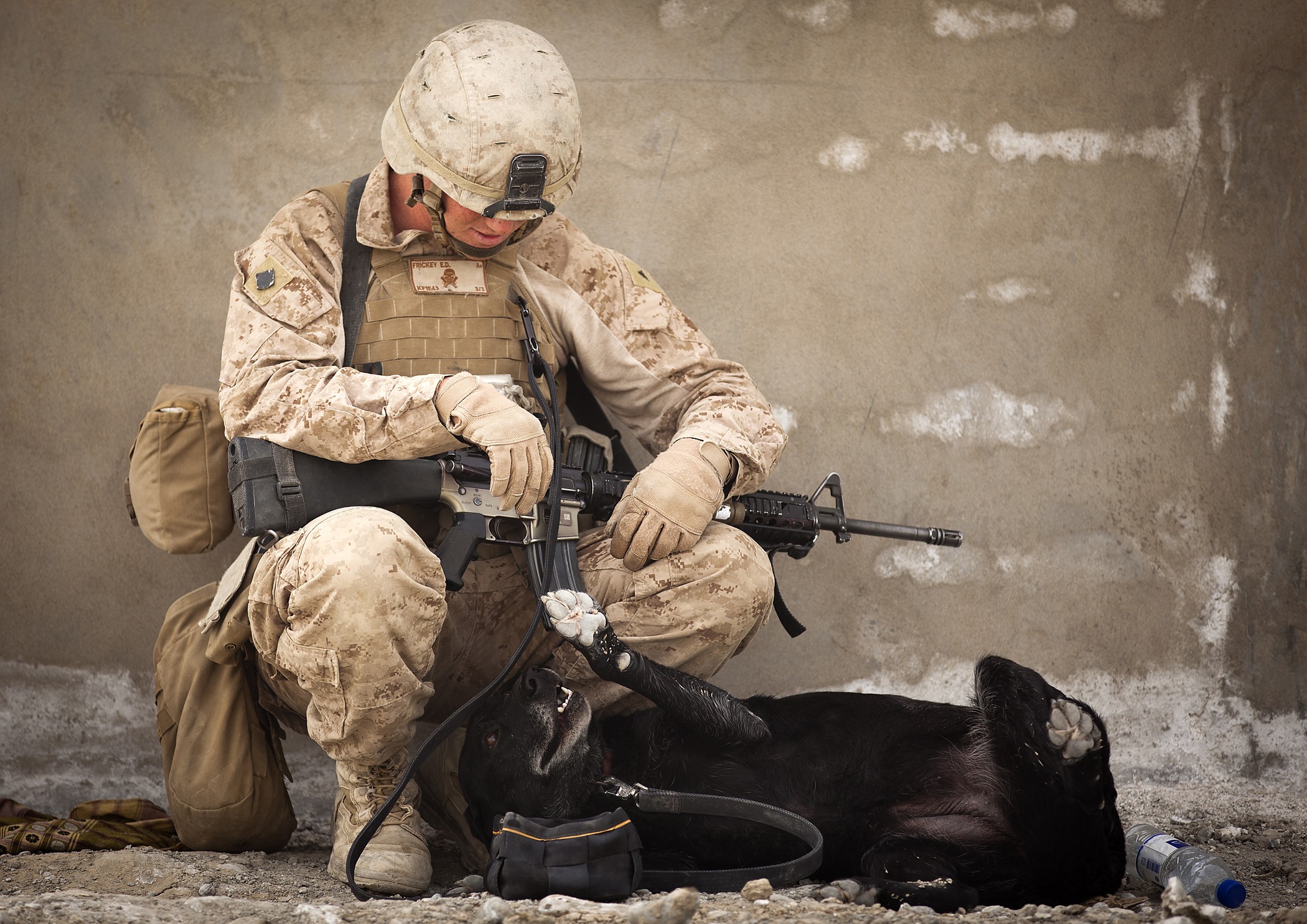 People 2100x1485 soldier animals military helmet weapon men machine gun dog mammals marines