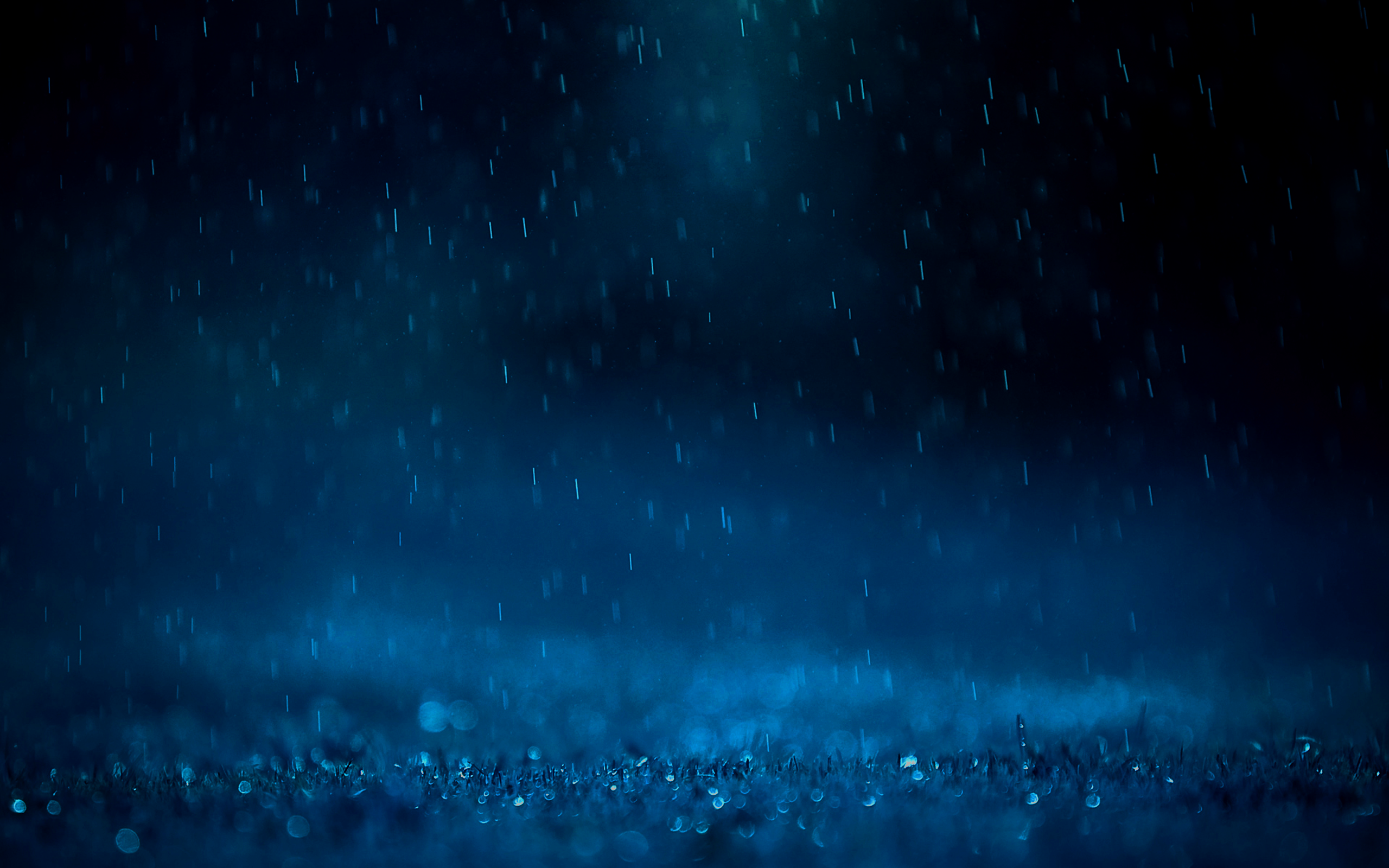 General 2560x1600 rain water drops water night blue macro
