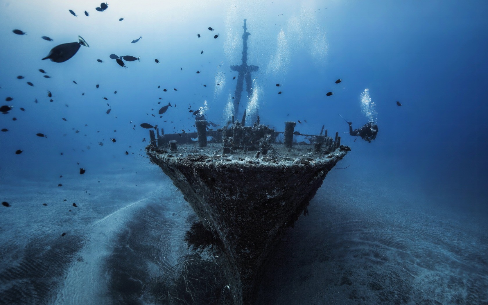 General 1680x1050 underwater fish shipwreck divers sea blue diving