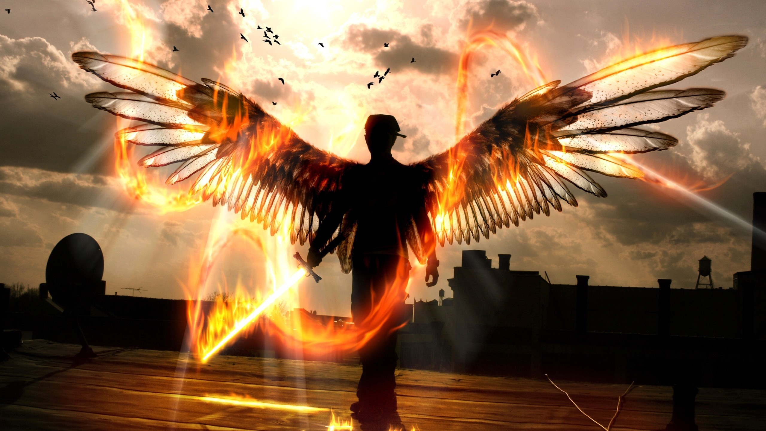 General 2560x1440 Flame Painter digital art outdoors wings silhouette urban sky birds sunlight