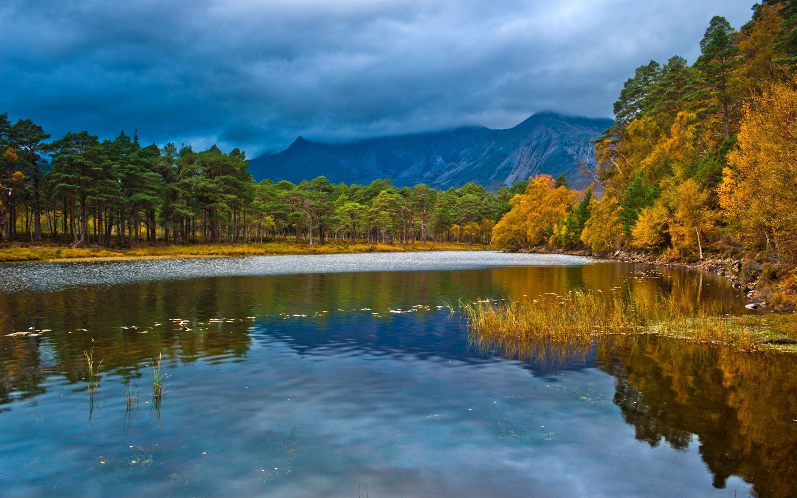 General 2560x1600 overcast mountains fall pond trees nature landscape reflection