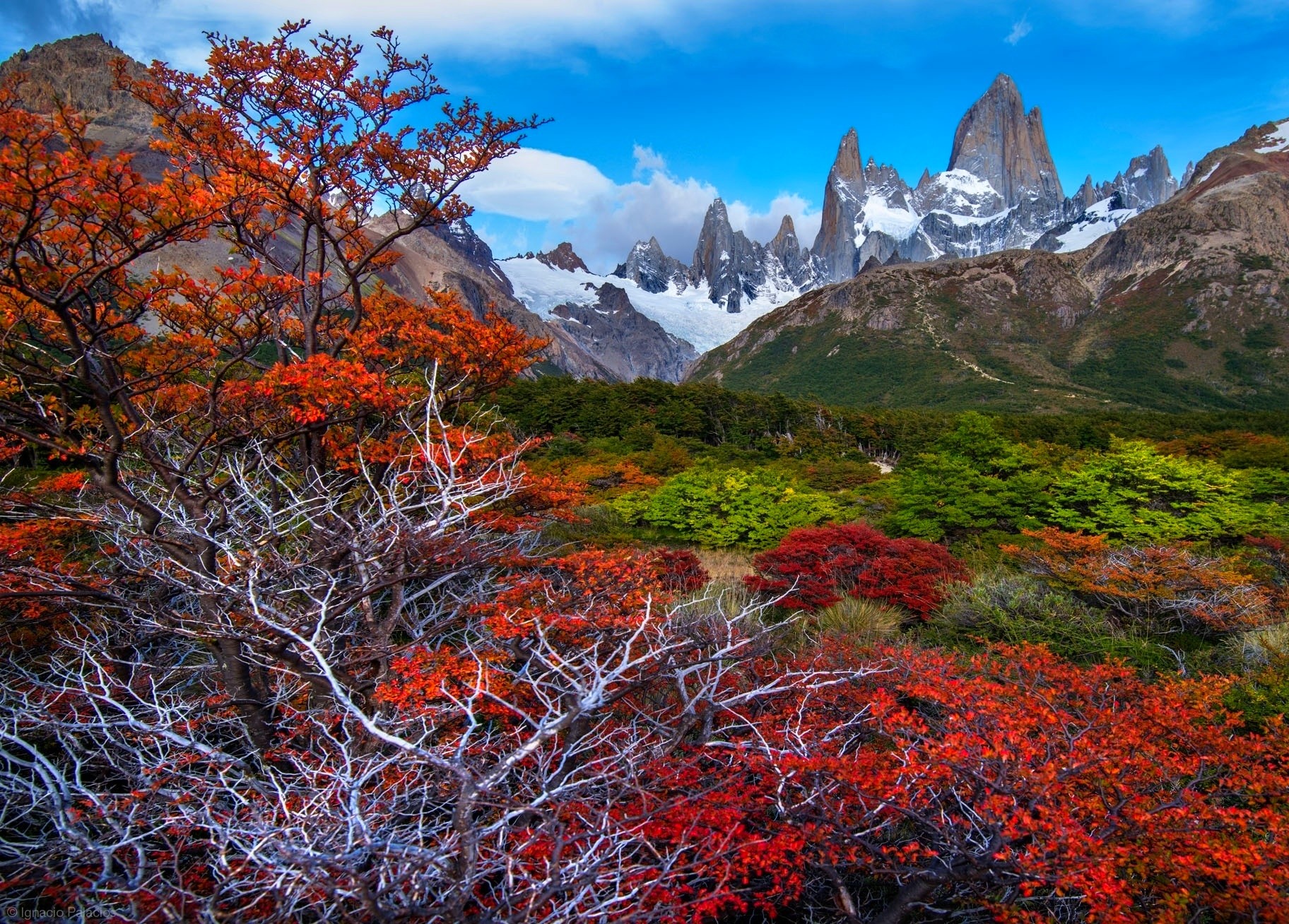 General 1824x1308 fall mountains forest Patagonia trees snowy peak Argentina nature landscape