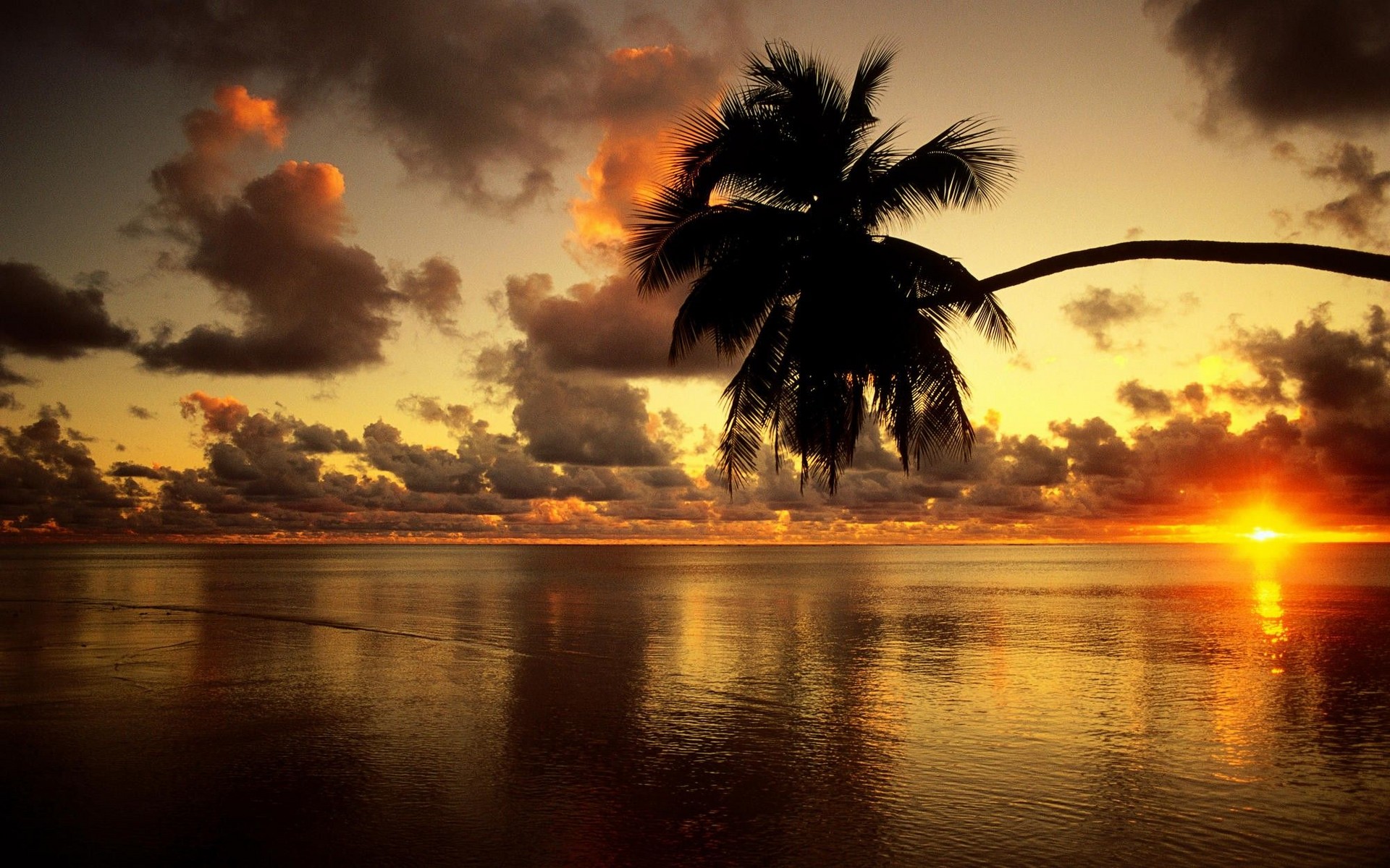 General 1920x1200 sunset sea palm trees clouds sunlight sky horizon tropical low light