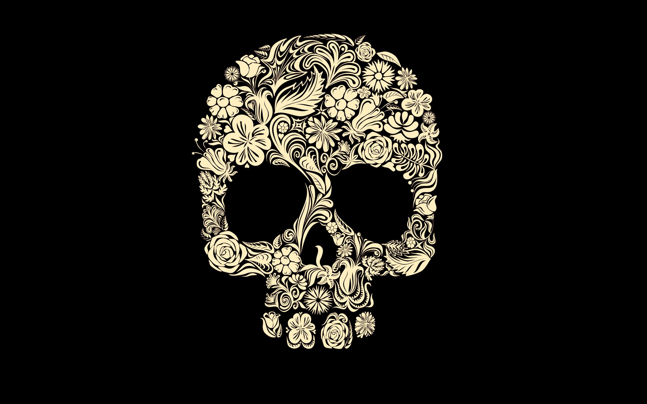 General 2560x1600 digital art skull death artwork minimalism simple background black background