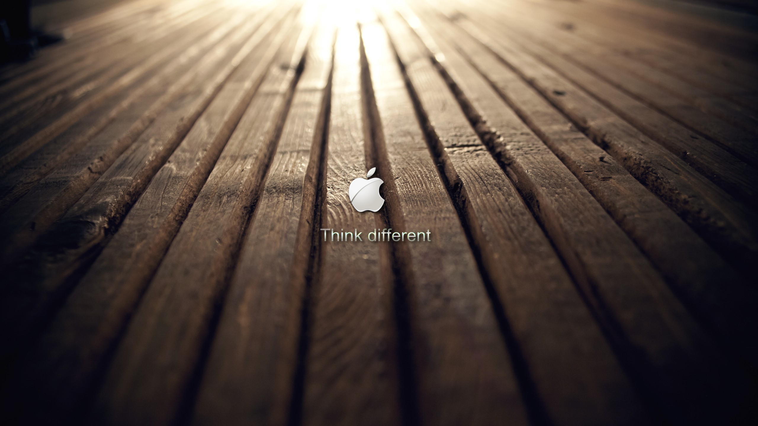 General 2560x1440 wood Apple Inc. logo brand closeup sunlight text