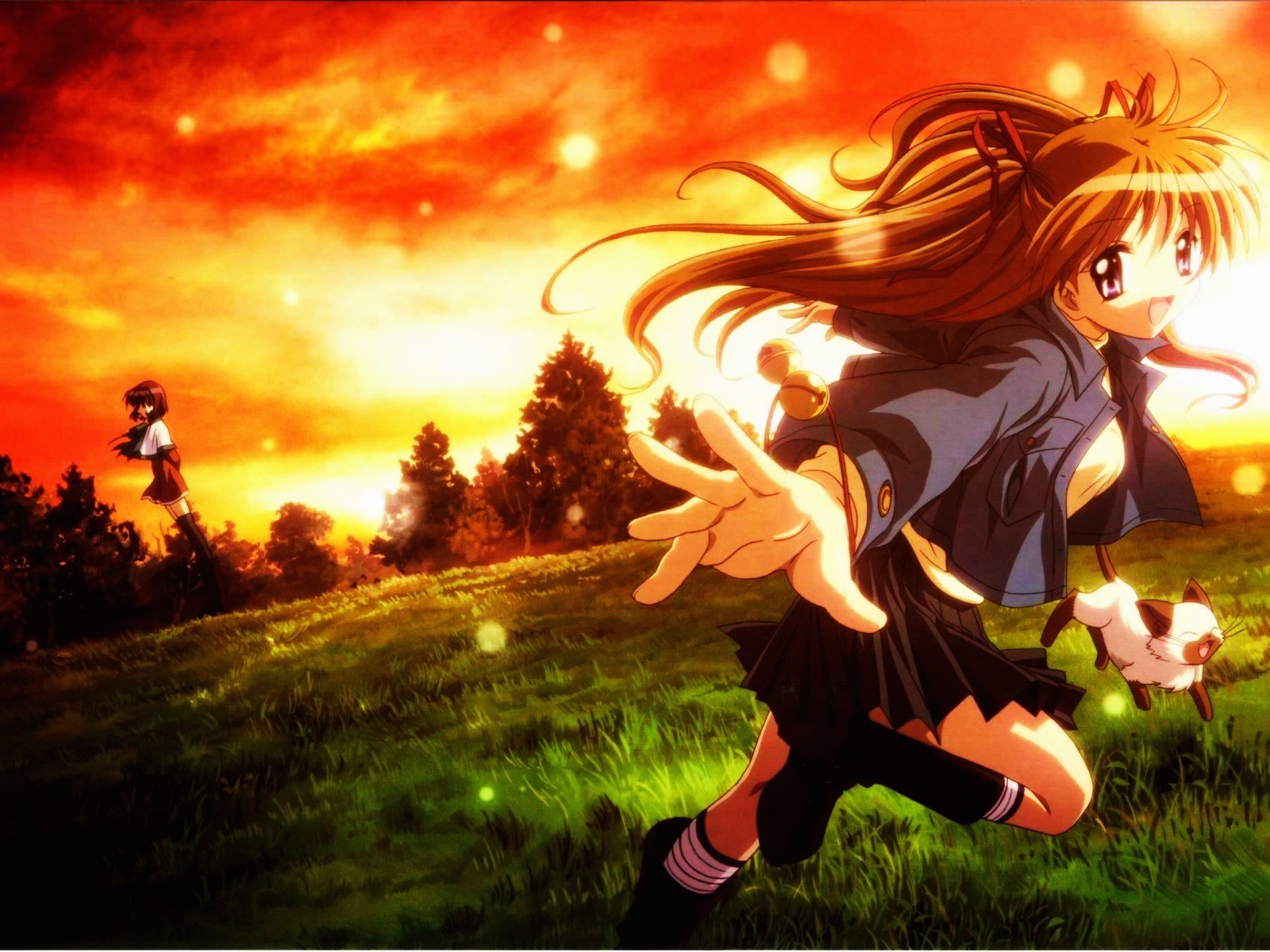 Anime 1600x1200 anime girls anime women outdoors two women cats sunlight grass long hair