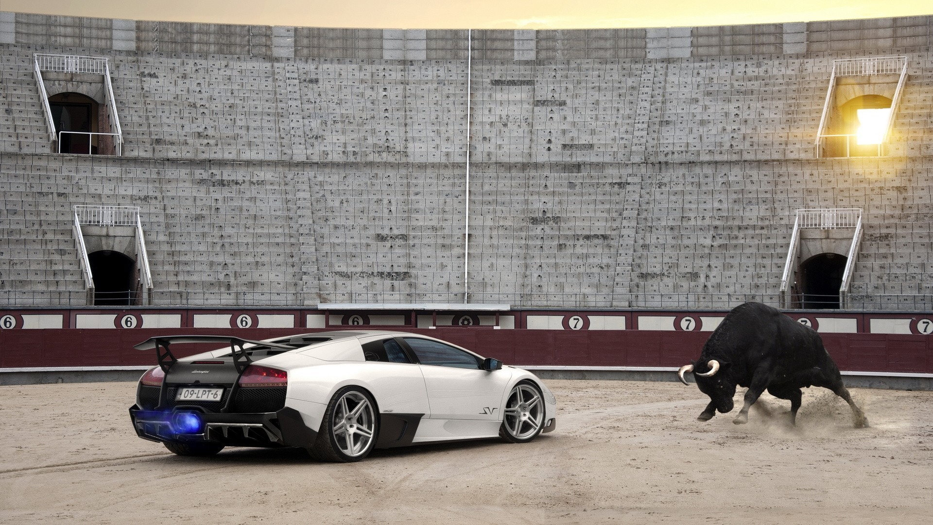 General 1920x1080 car Lamborghini bulls animals mammals supercars white cars arena