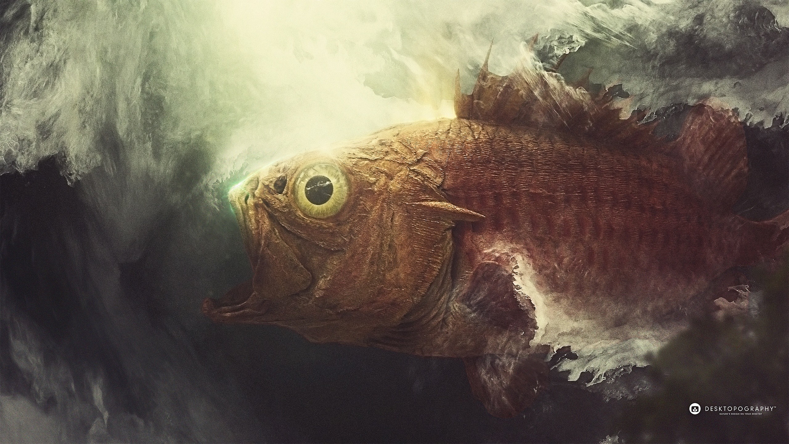 General 2560x1440 artwork fish animals Desktopography digital art watermarked closeup