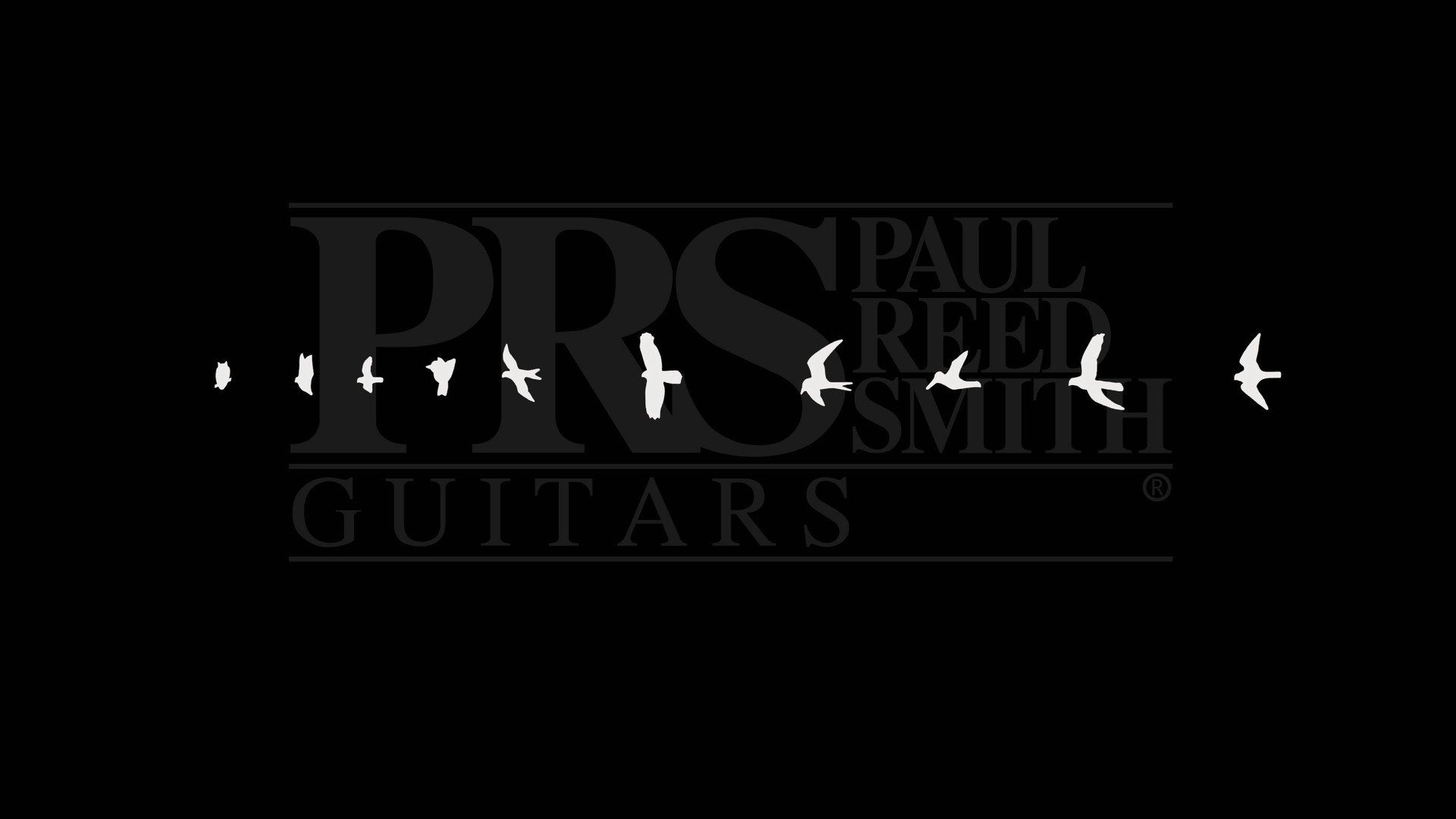 General 1920x1080 prs  music guitar birds simple background minimalism