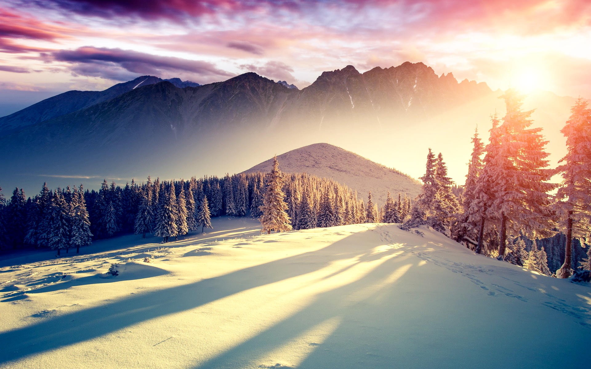 General 1920x1200 mountains trees landscape snow winter cold ice nature sunlight
