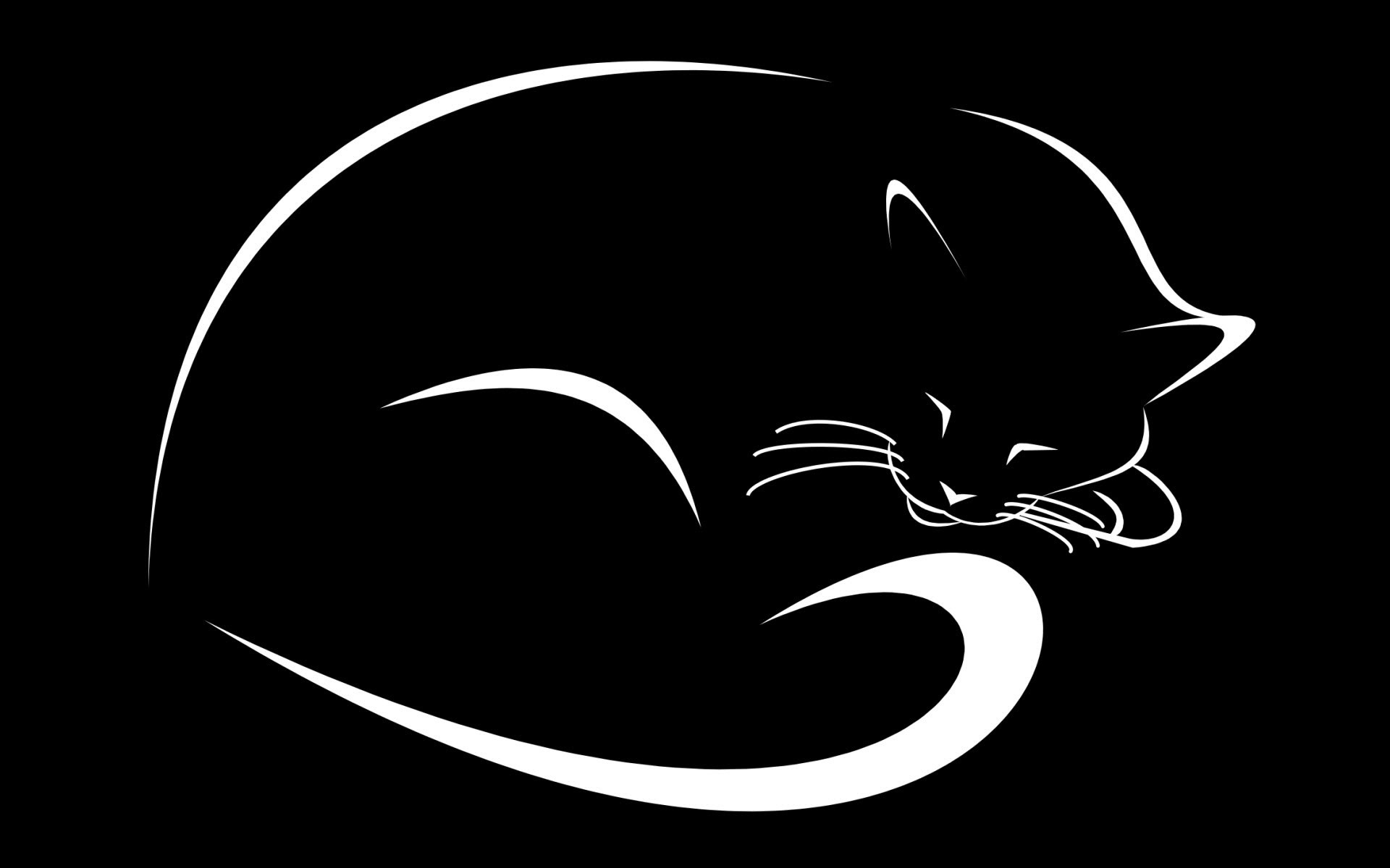 General 1920x1200 cats animals monochrome artwork mammals minimalism simple background black background