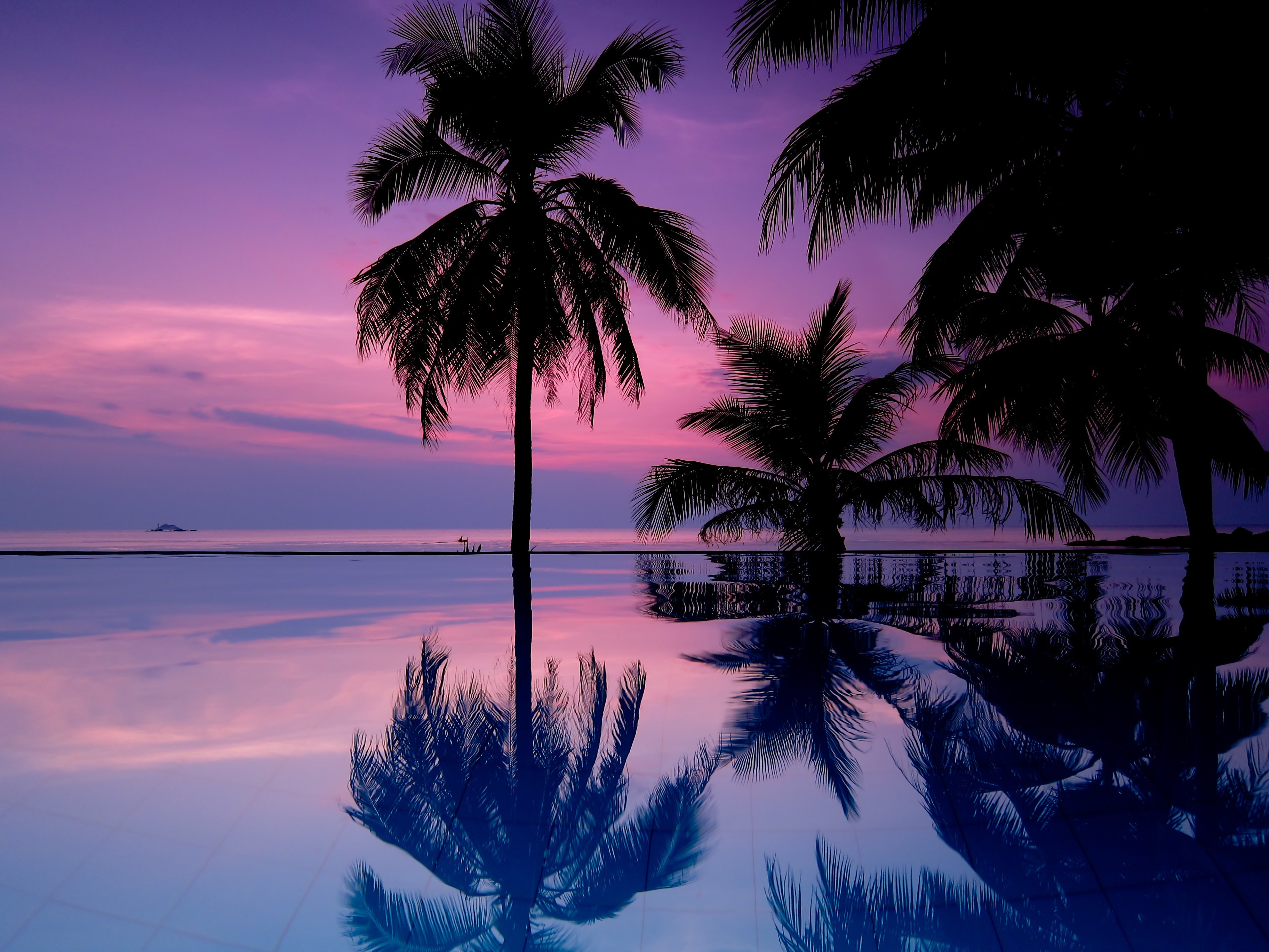 General 3648x2736 tropical purple sky palm trees sea outdoors water reflection