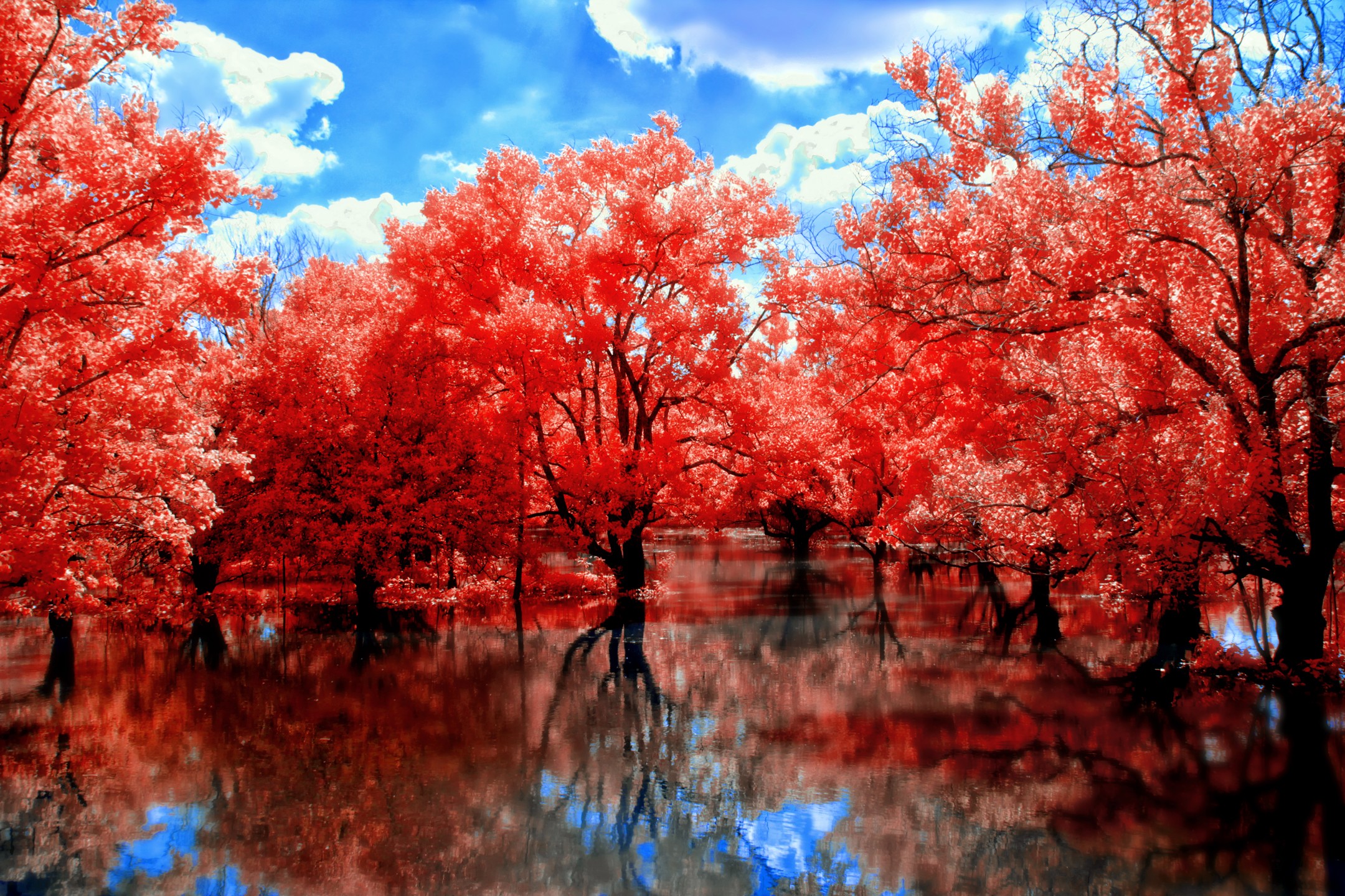 General 2160x1440 nature landscape trees water reflection colorful