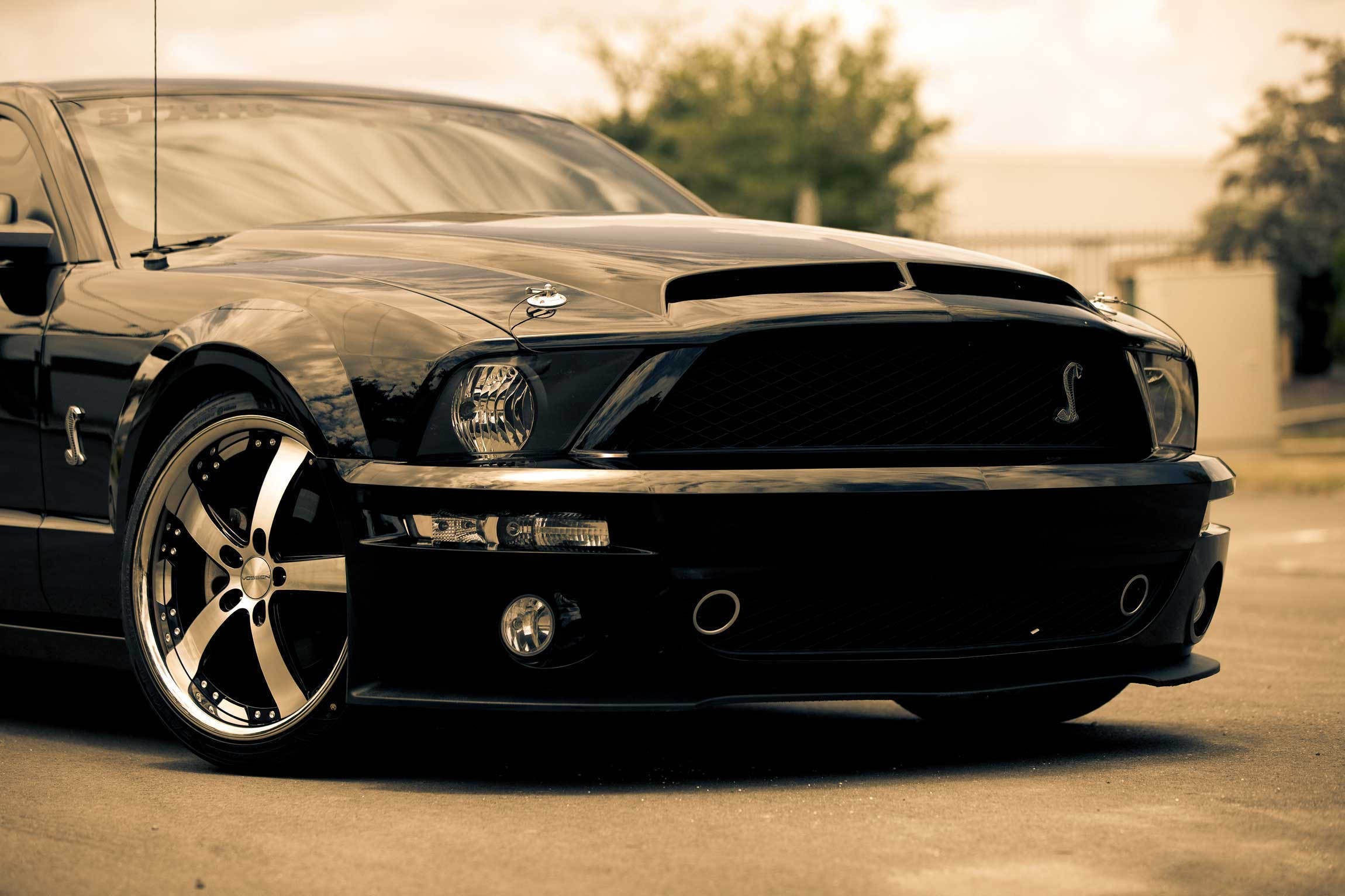 General 2300x1533 Shelby car Ford Ford Mustang black cars vehicle Ford Mustang S-197 muscle cars American cars