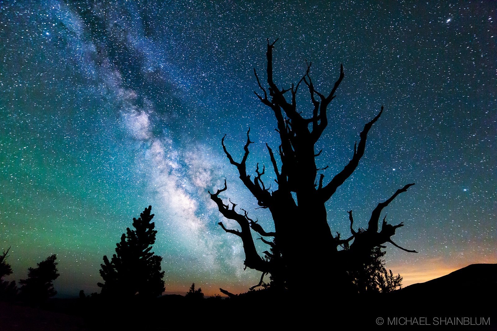 General 1600x1066 stars sky night dead trees nature outdoors dark