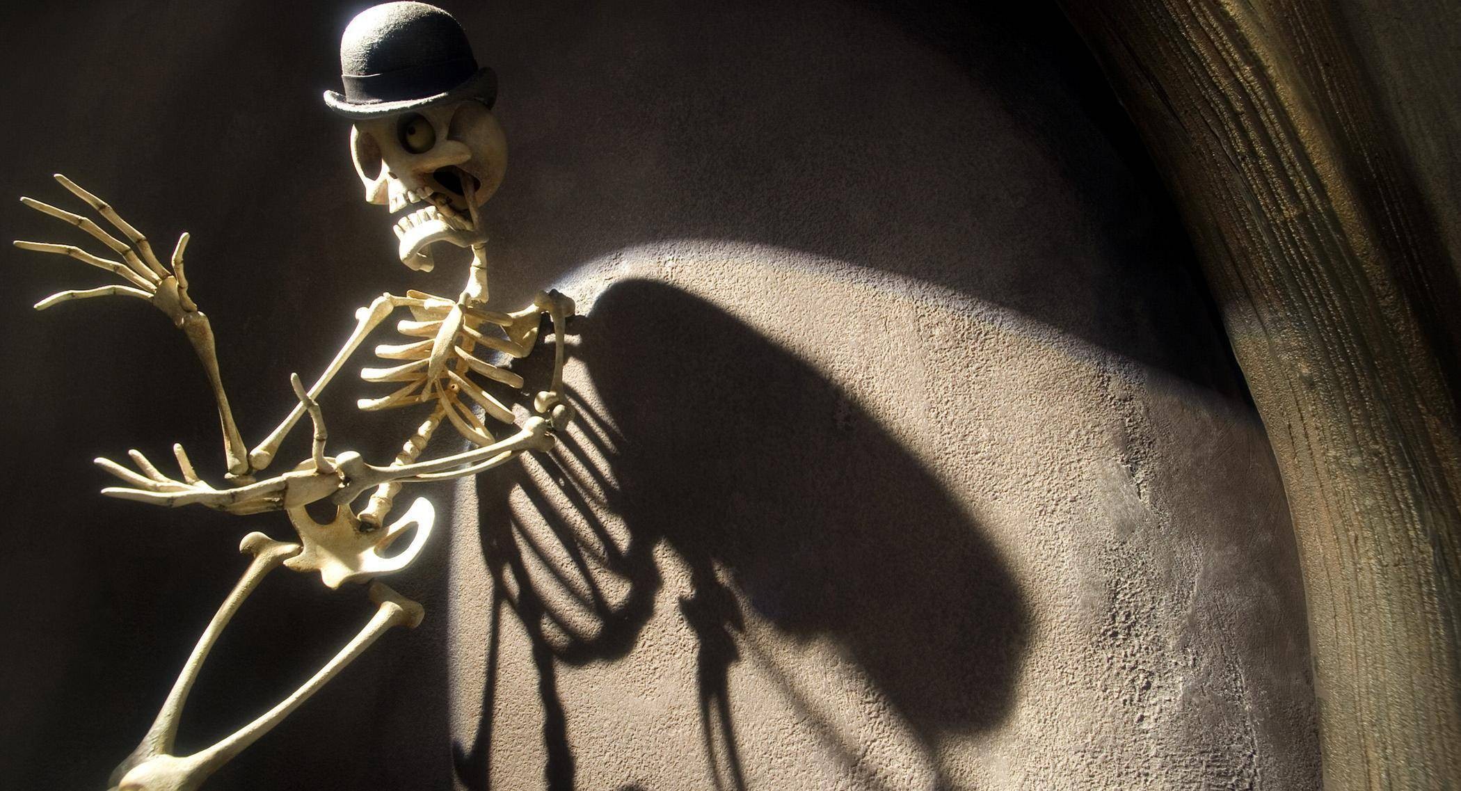 General 2100x1137 skeleton hat sunlight Corpse Bride skull