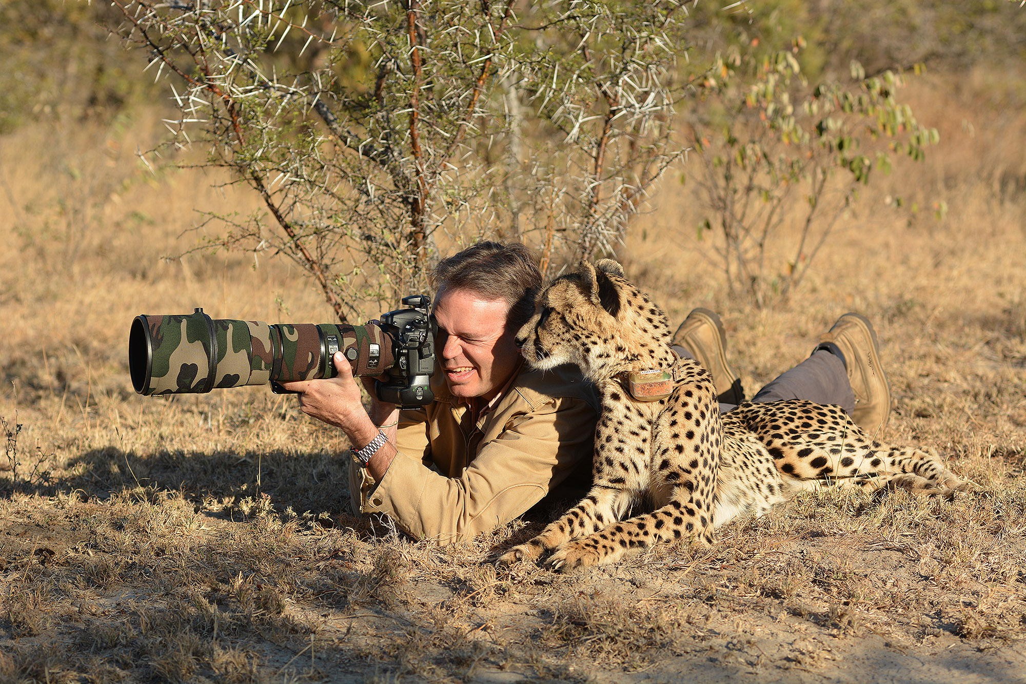 General 2000x1333 cheetahs nature animals photographer camera camouflage savannah mammals men outdoors men big cats lens zoom lens