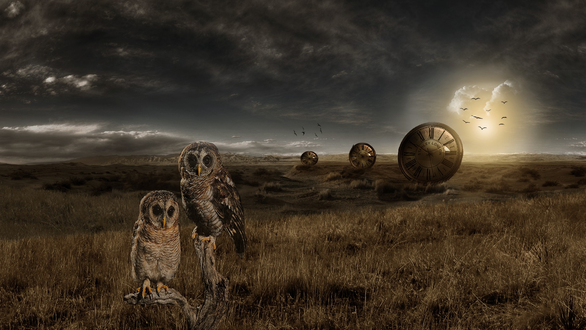 General 1920x1080 animals digital art sky field landscape owl birds