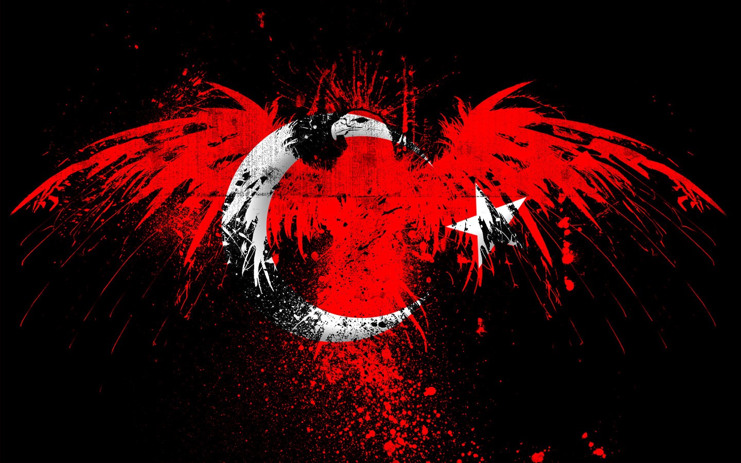 General 1440x900 artwork grunge flag animals eagle simple background Turkey birds