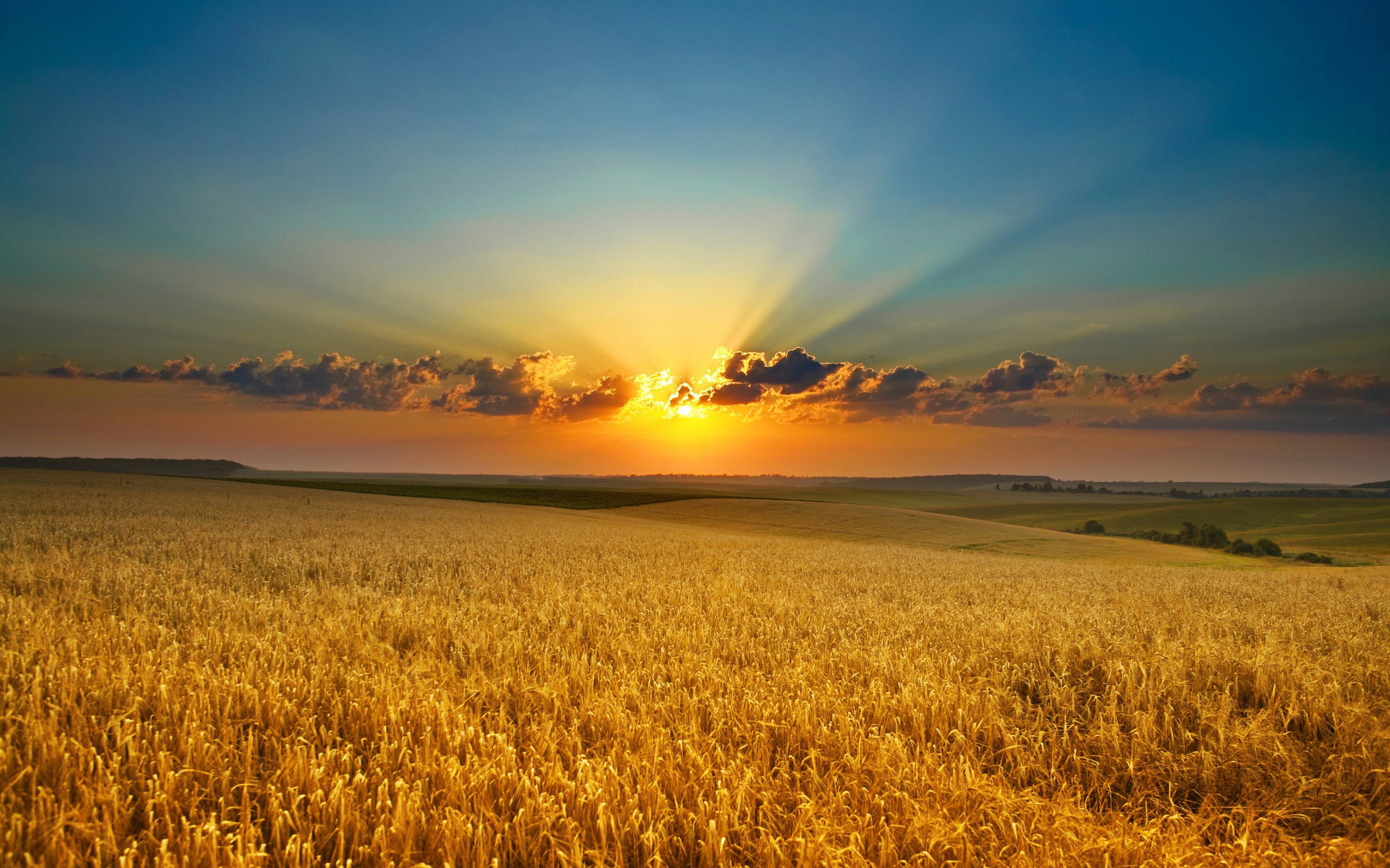 General 2560x1600 sun rays sunlight field clouds sky wheat