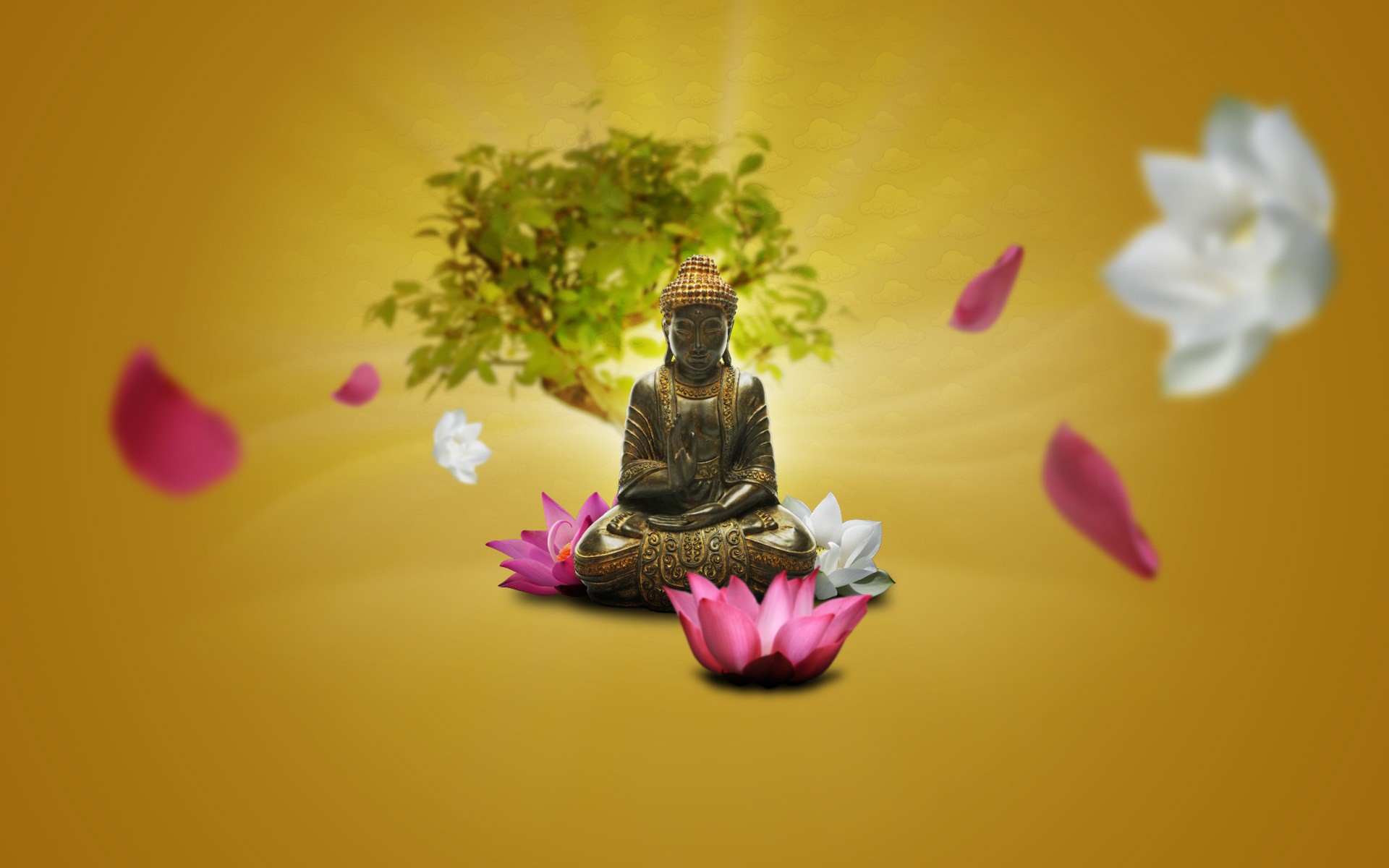 General 1920x1200 zen Buddha meditation lotus flowers orange background simple background