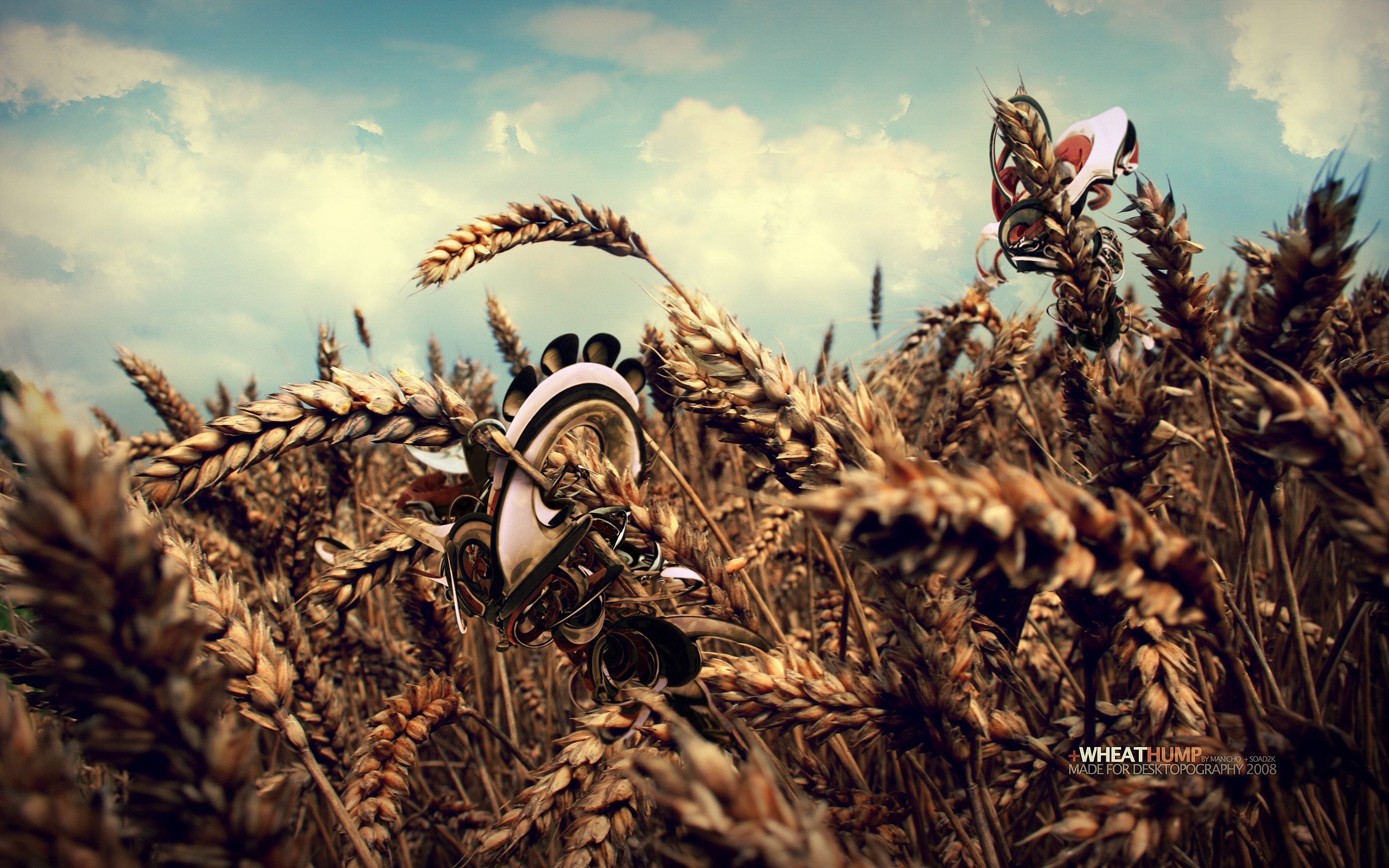 General 2560x1600 plants wheat digital art CGI Agro (Plants)