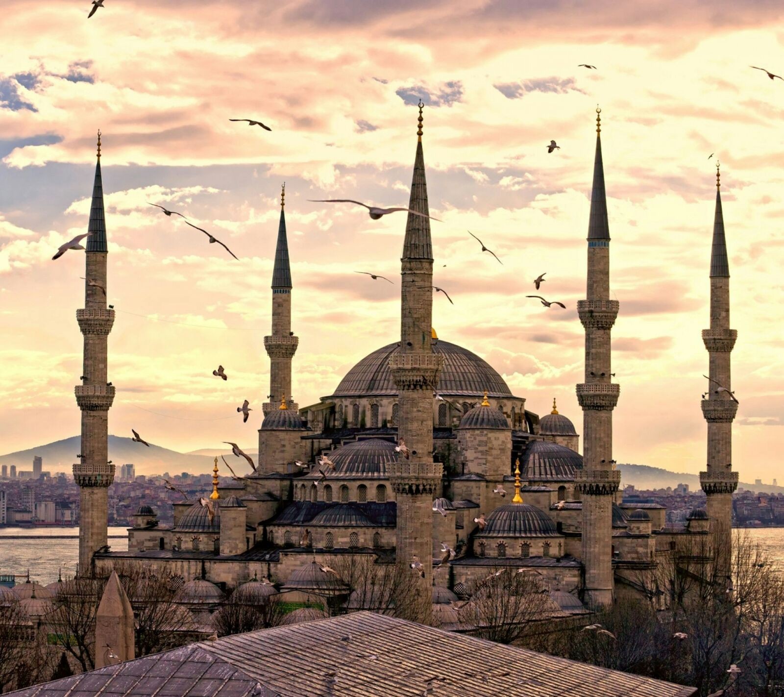 General 1600x1422 mosque Hagia Sophia Blue Mosque building birds landmark