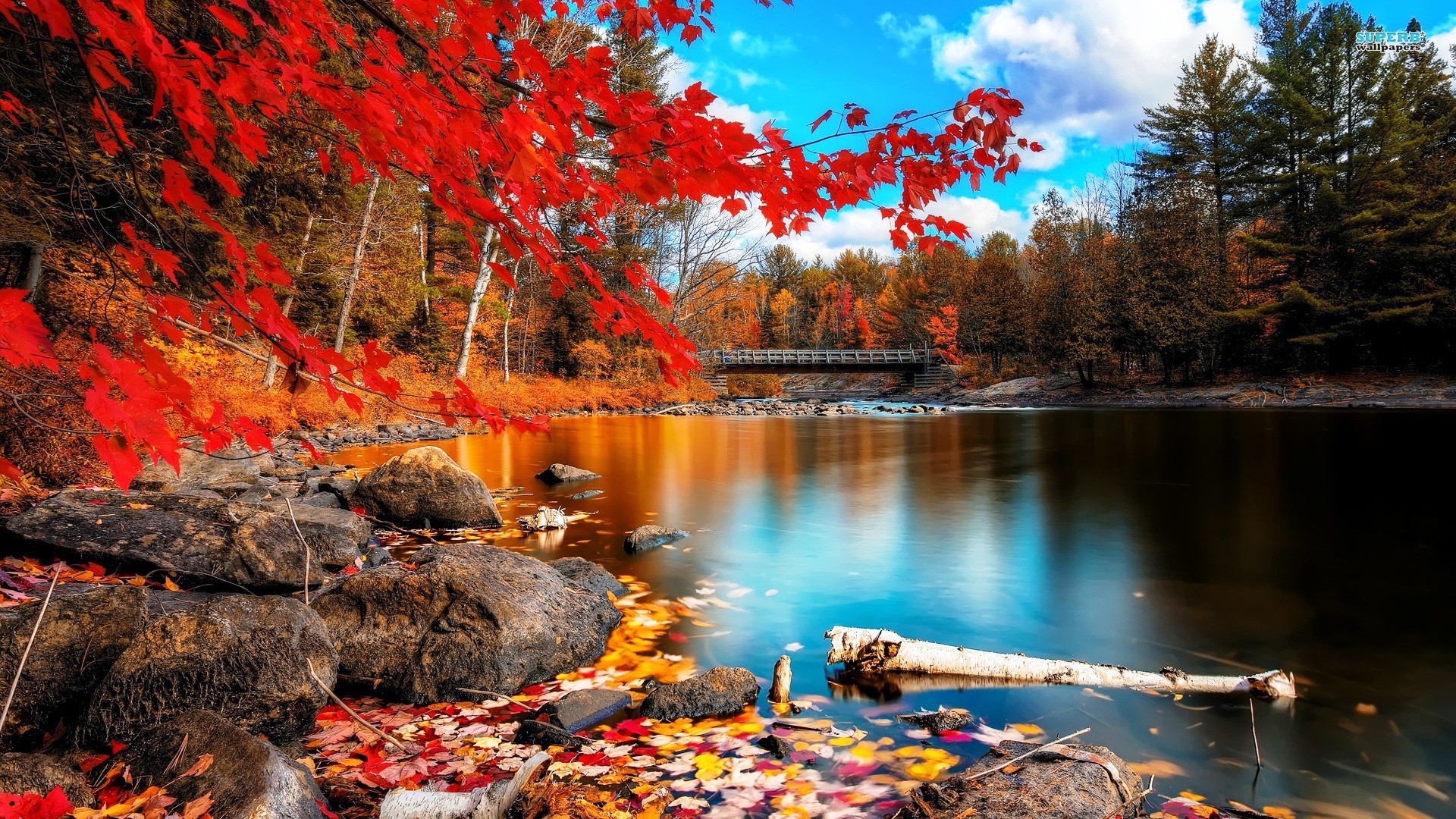 General 1920x1080 fall leaves nature landscape river