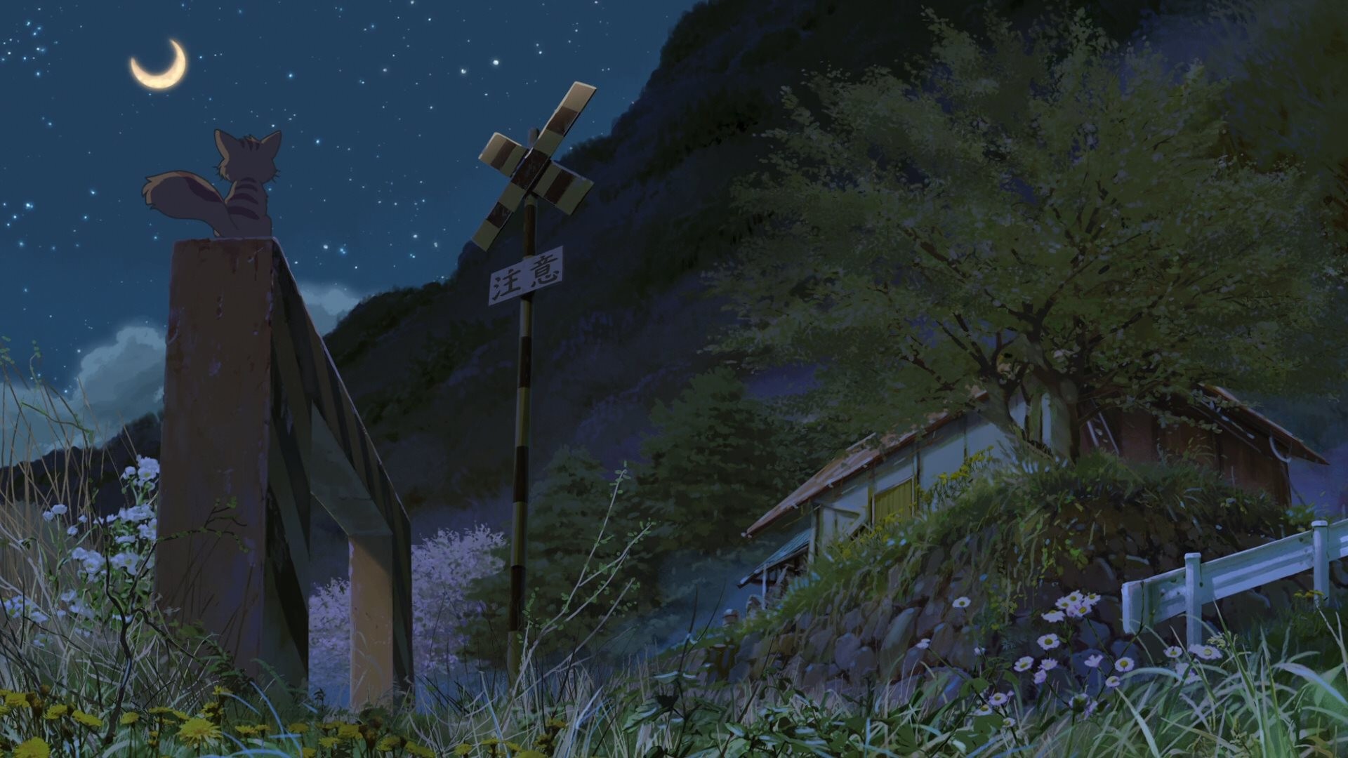 Anime 1920x1080 Hoshi wo Ou Kodomo night sky cats outdoors Moon anime