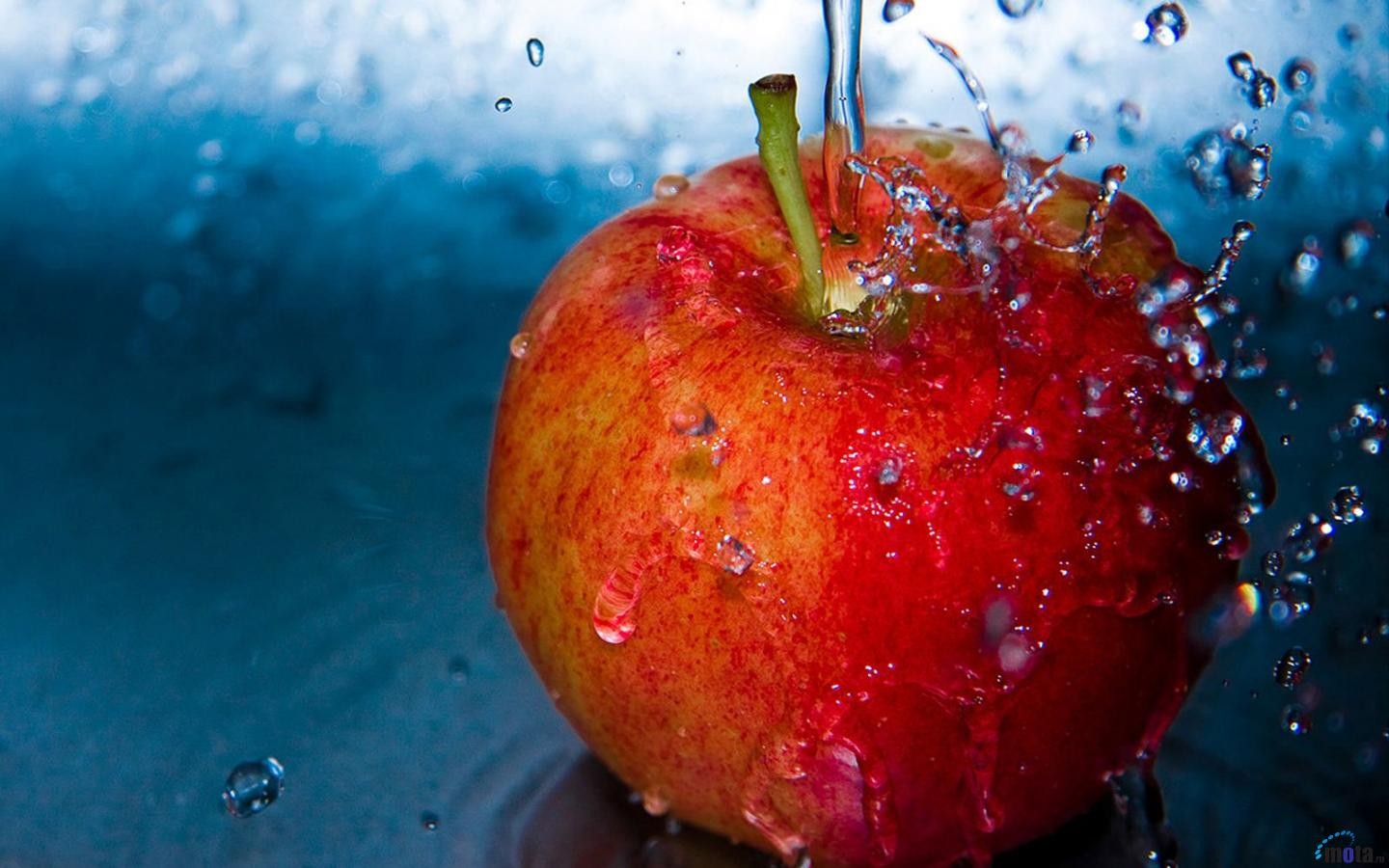 General 1440x900 macro fruit apples water drops wet red food blue background