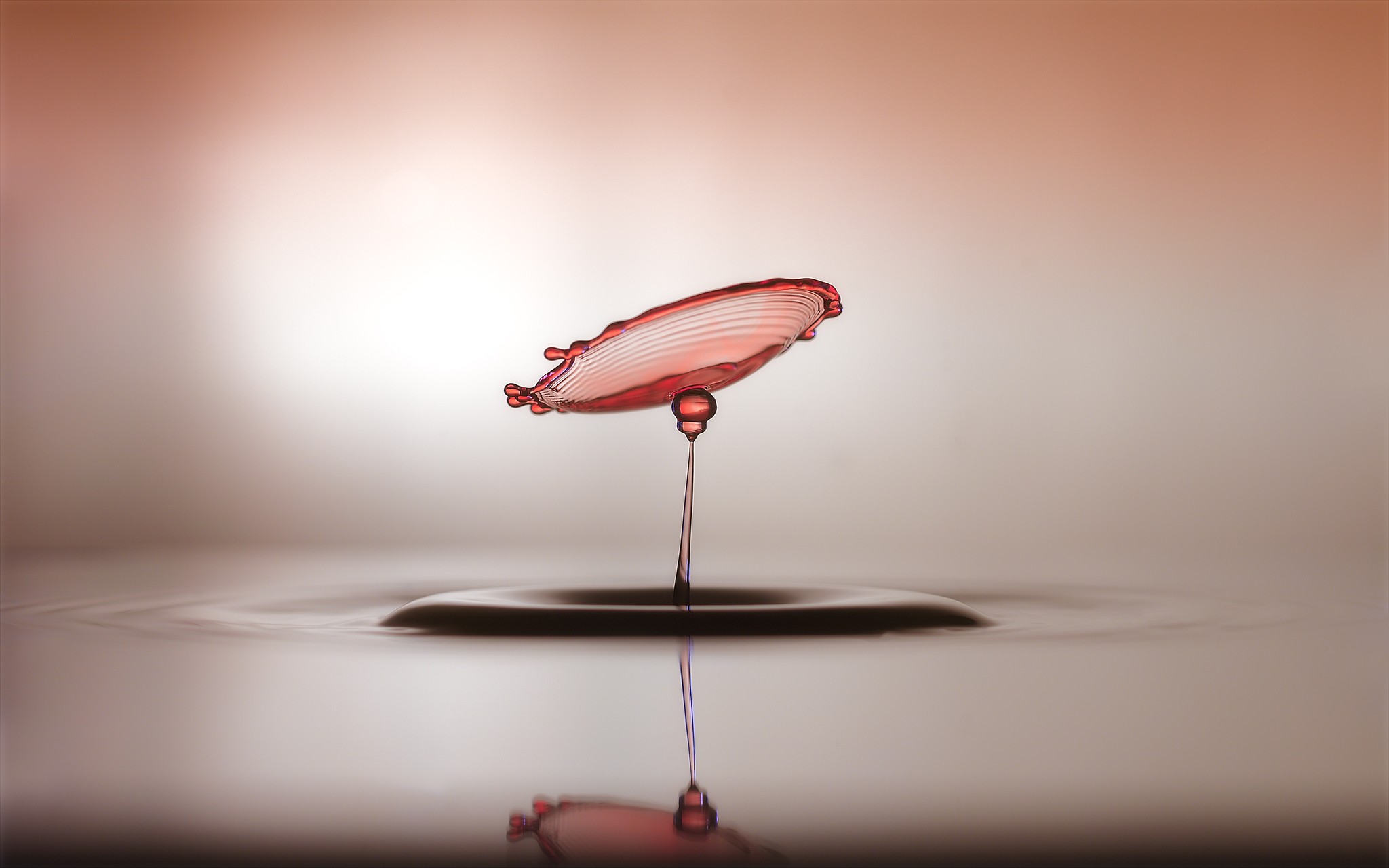 General 2048x1280 macro pink water drops photography blurred depth of field water ripples