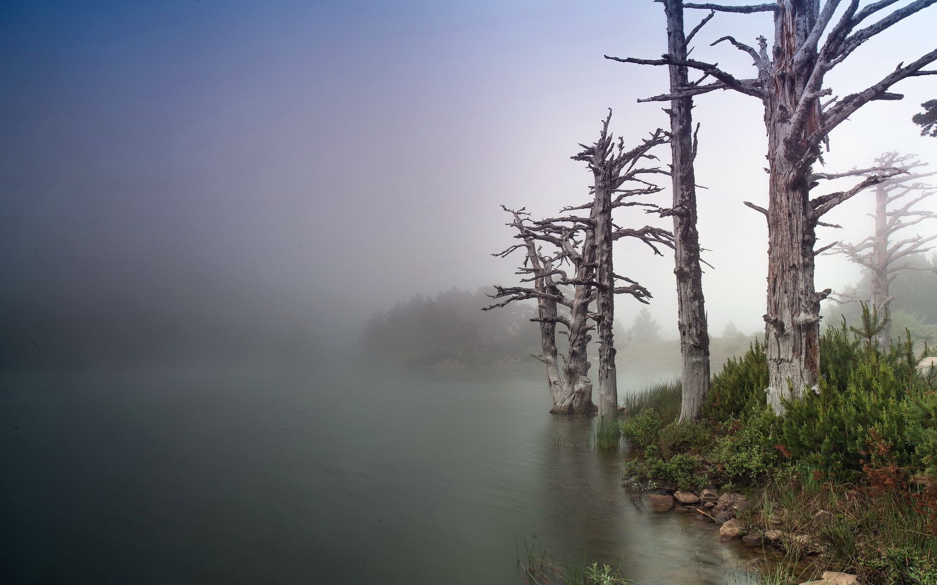 General 1920x1200 nature mist trees landscape water
