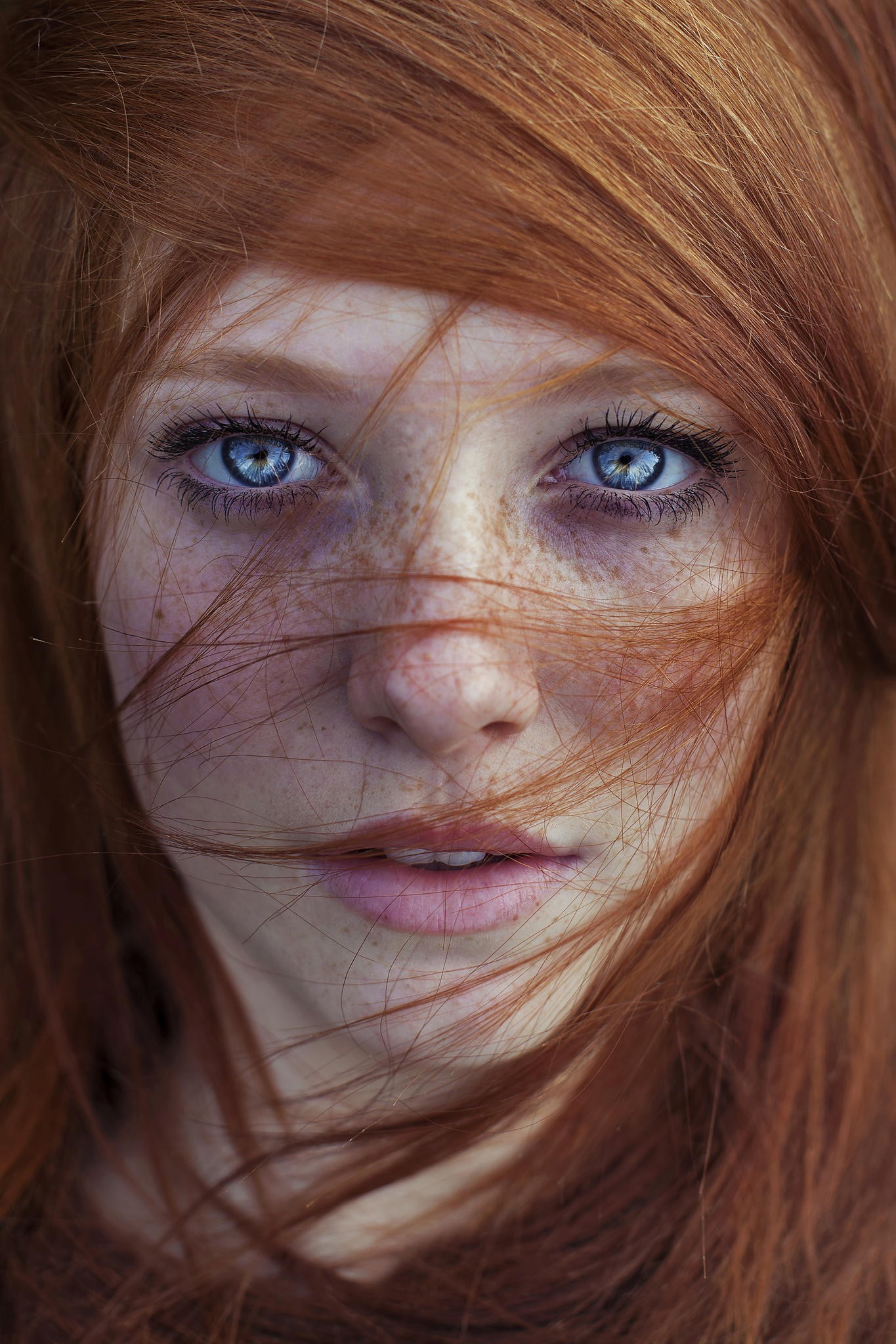 People 1365x2048 women redhead model blue eyes freckles hair in face face closeup looking at viewer long hair portrait