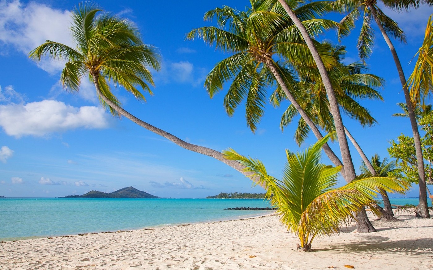 General 1400x875 nature tropical Bora Bora beach island white sand sea palm trees summer French Polynesia