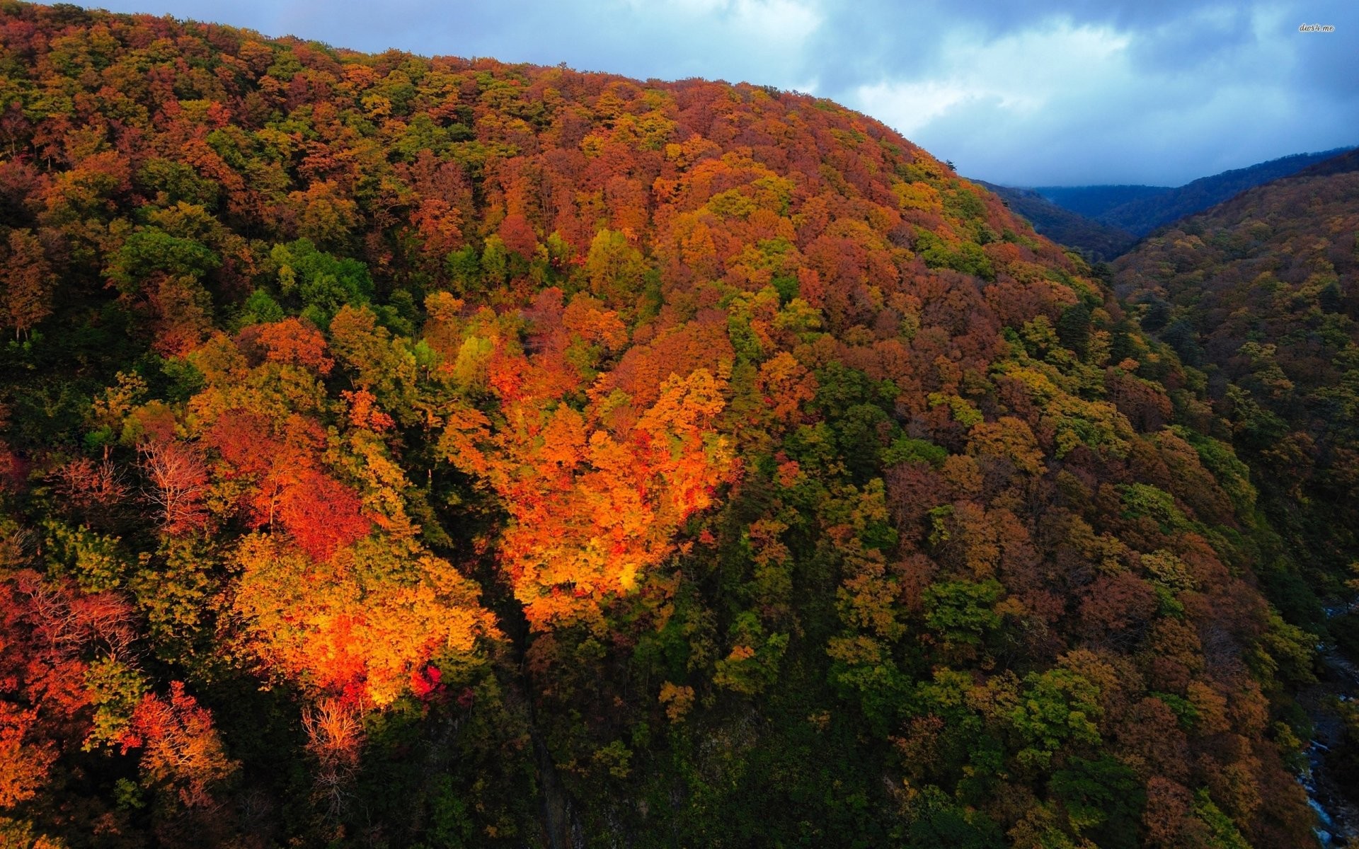 General 1920x1200 fall forest red leaves hills aerial view nature landscape