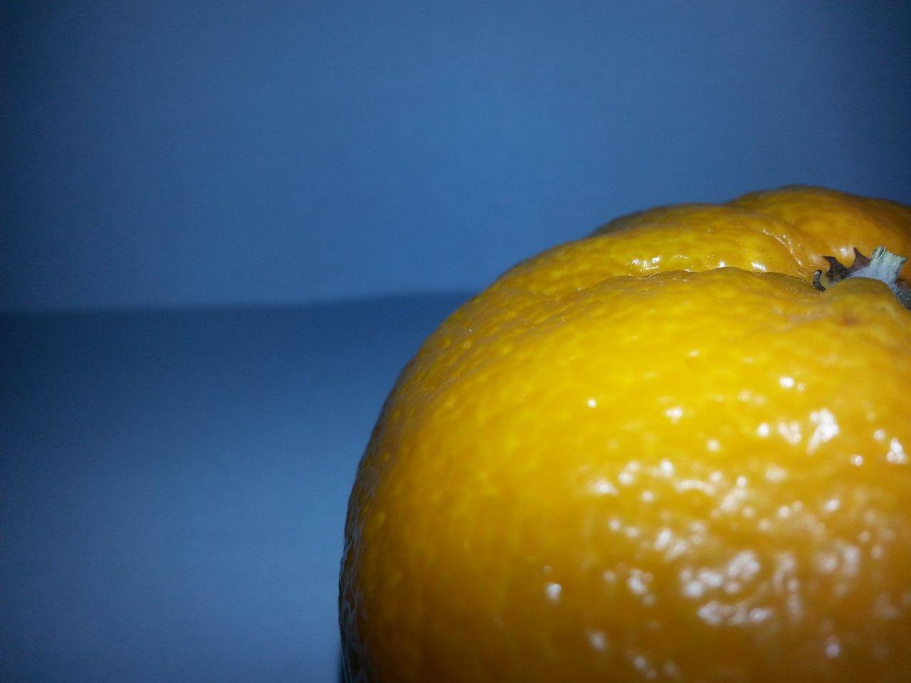 General 1280x960 orange (fruit) food fruit closeup blue background