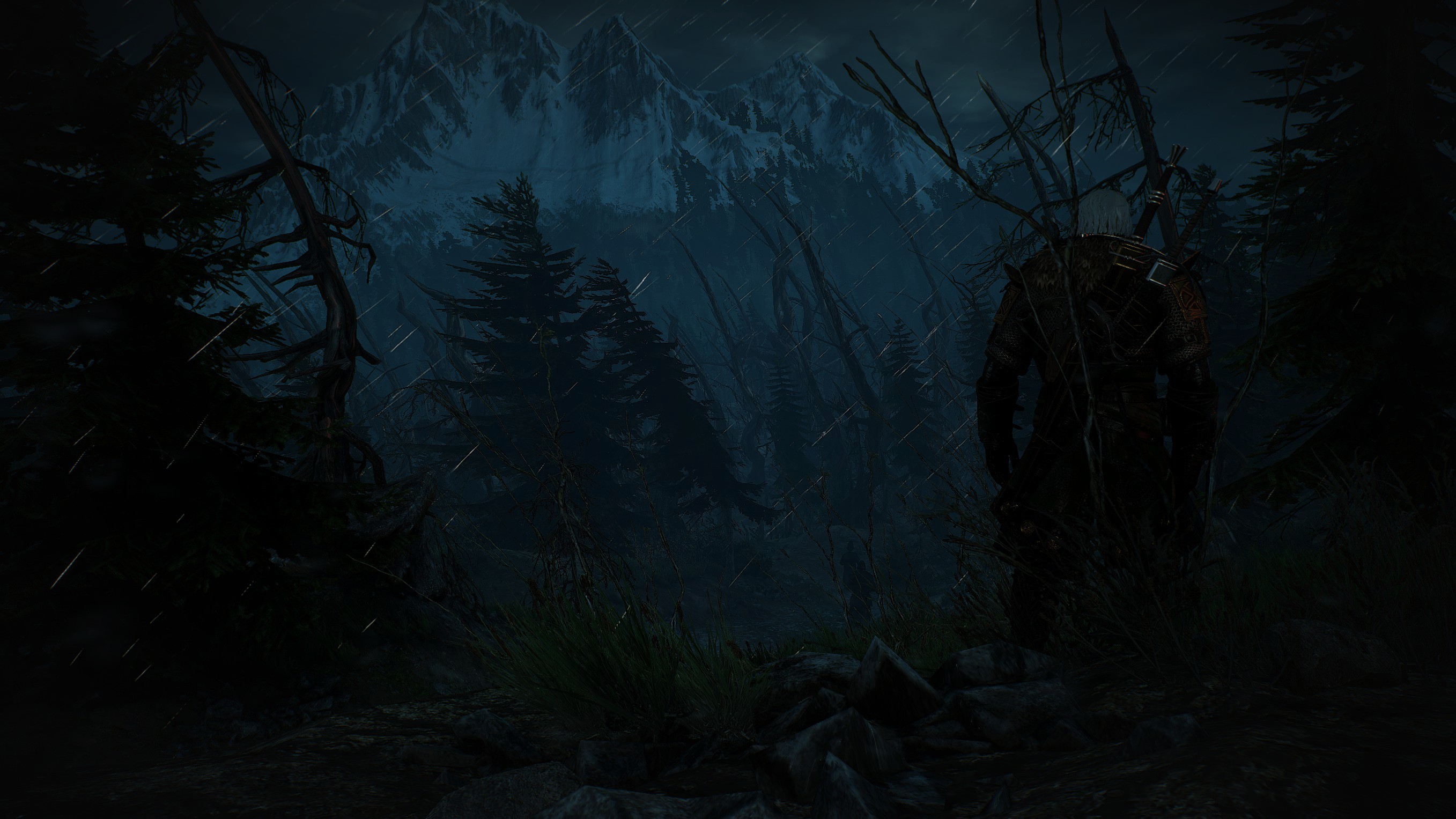 General 2715x1527 The Witcher 3: Wild Hunt Skellige screen shot video games video game landscape dark RPG PC gaming