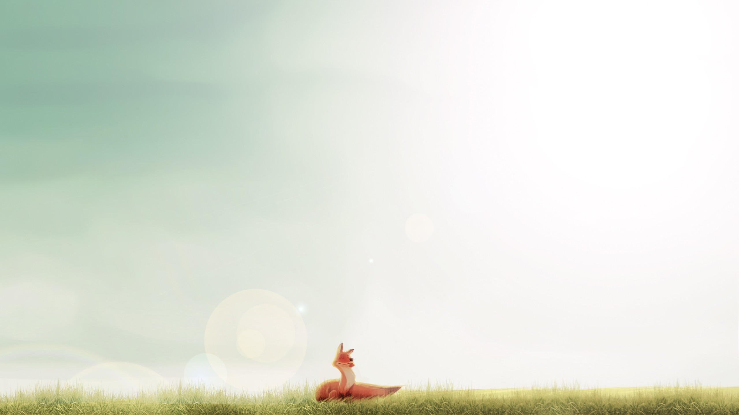 General 2560x1440 fox minimalism sunlight smiling happy animals mammals sky artwork